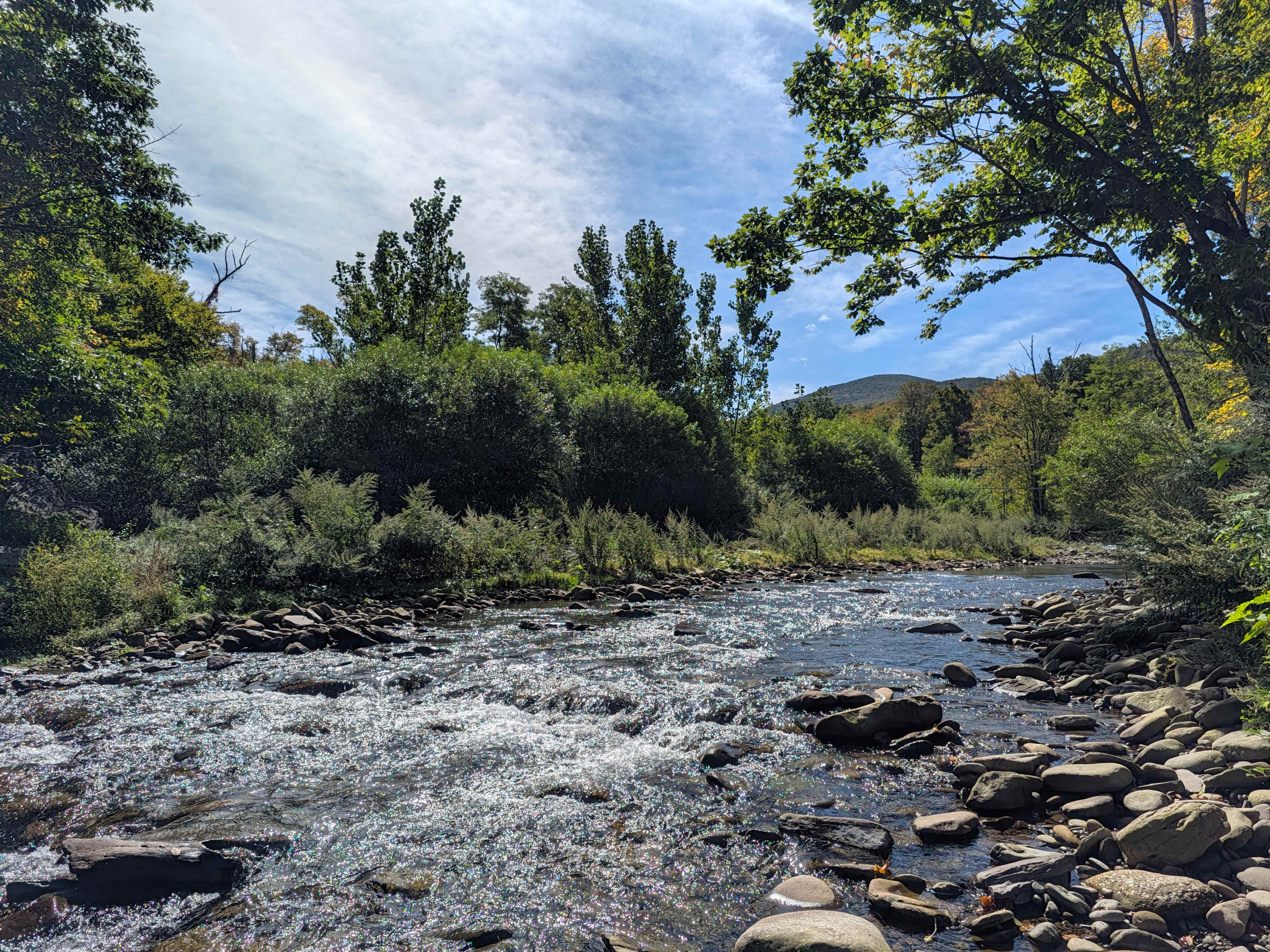 Upper Esopus Creekside Camp