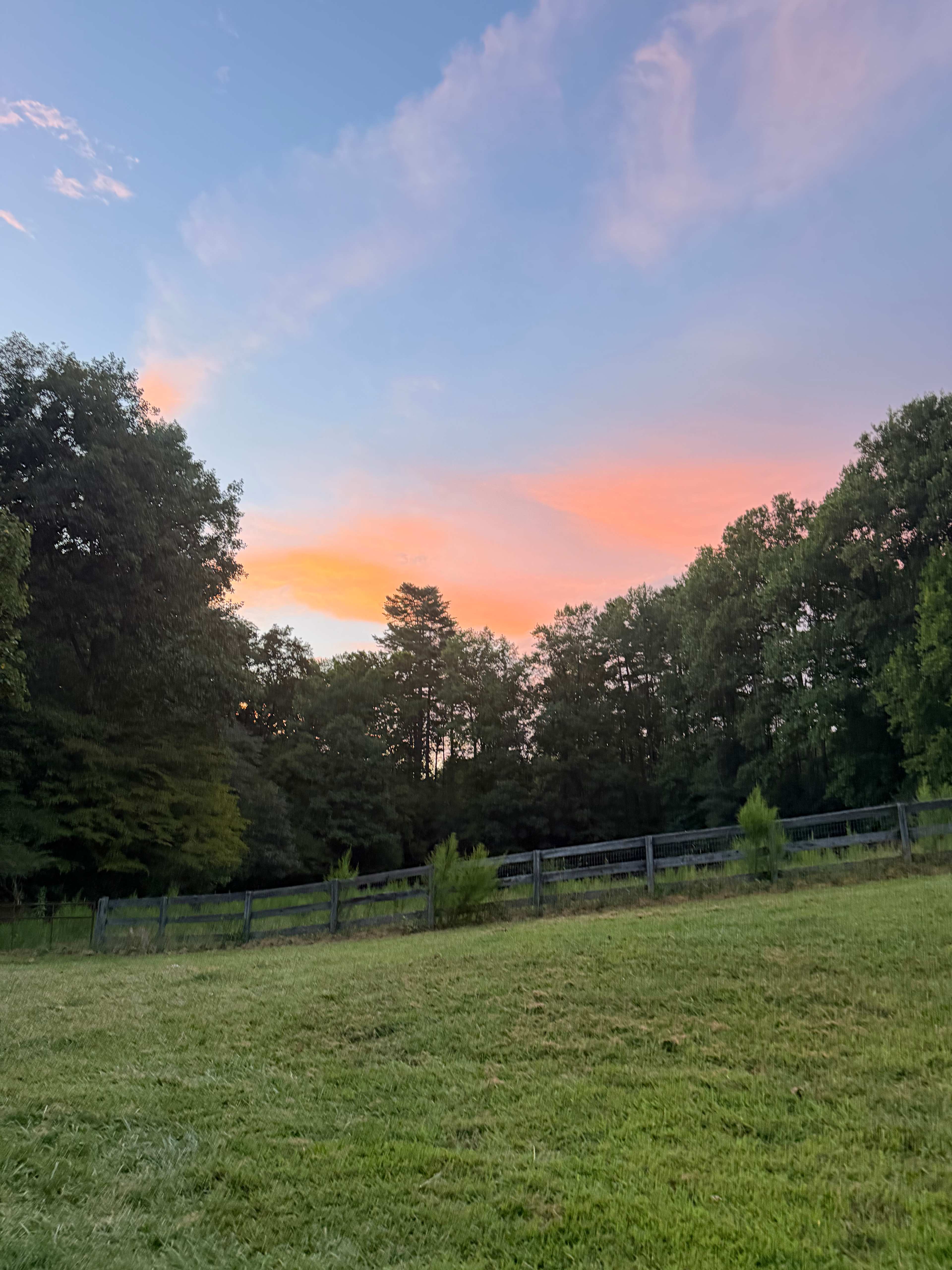 White Dog Farm camping