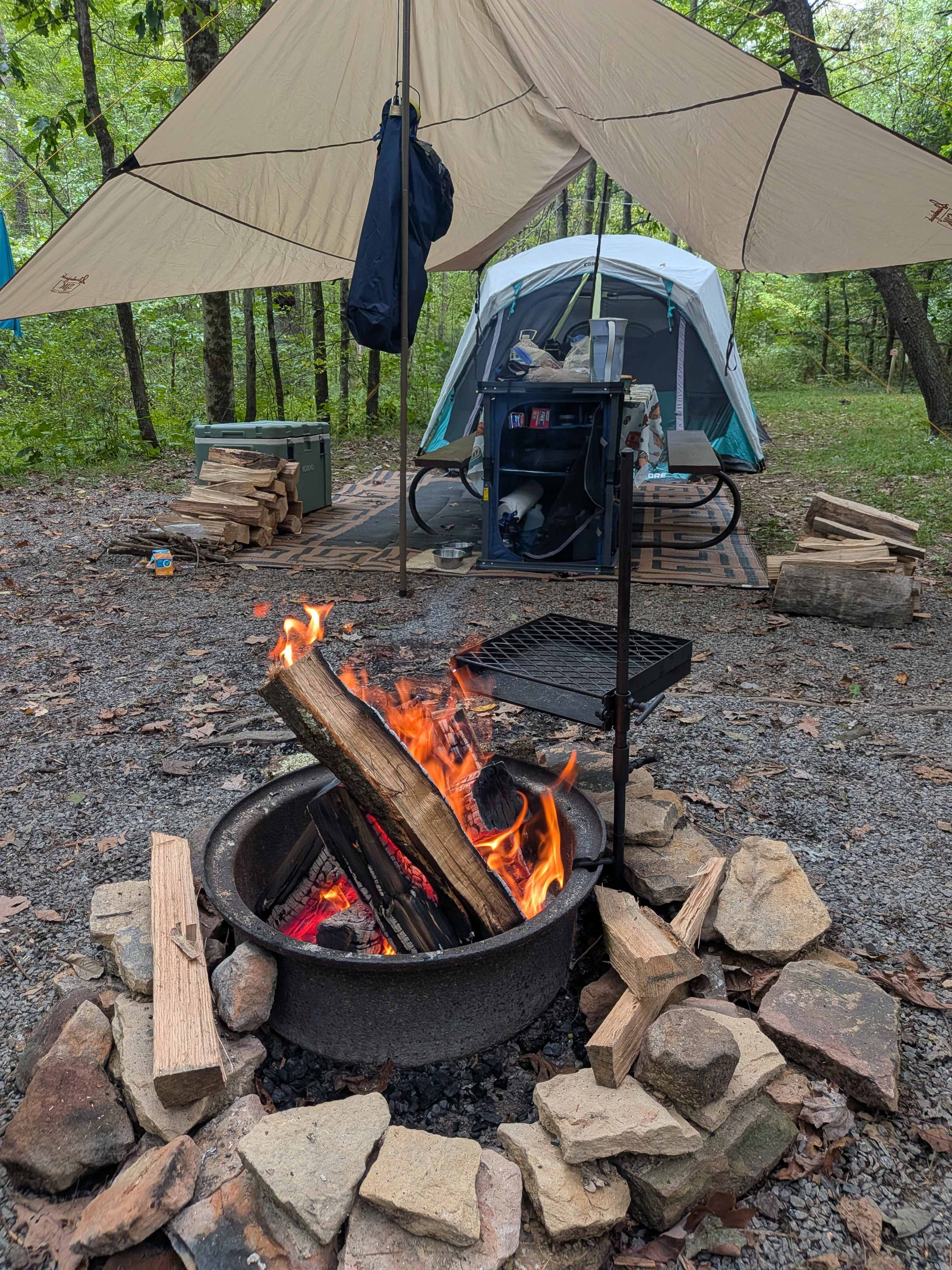 Forest Camping with Modern Comfort