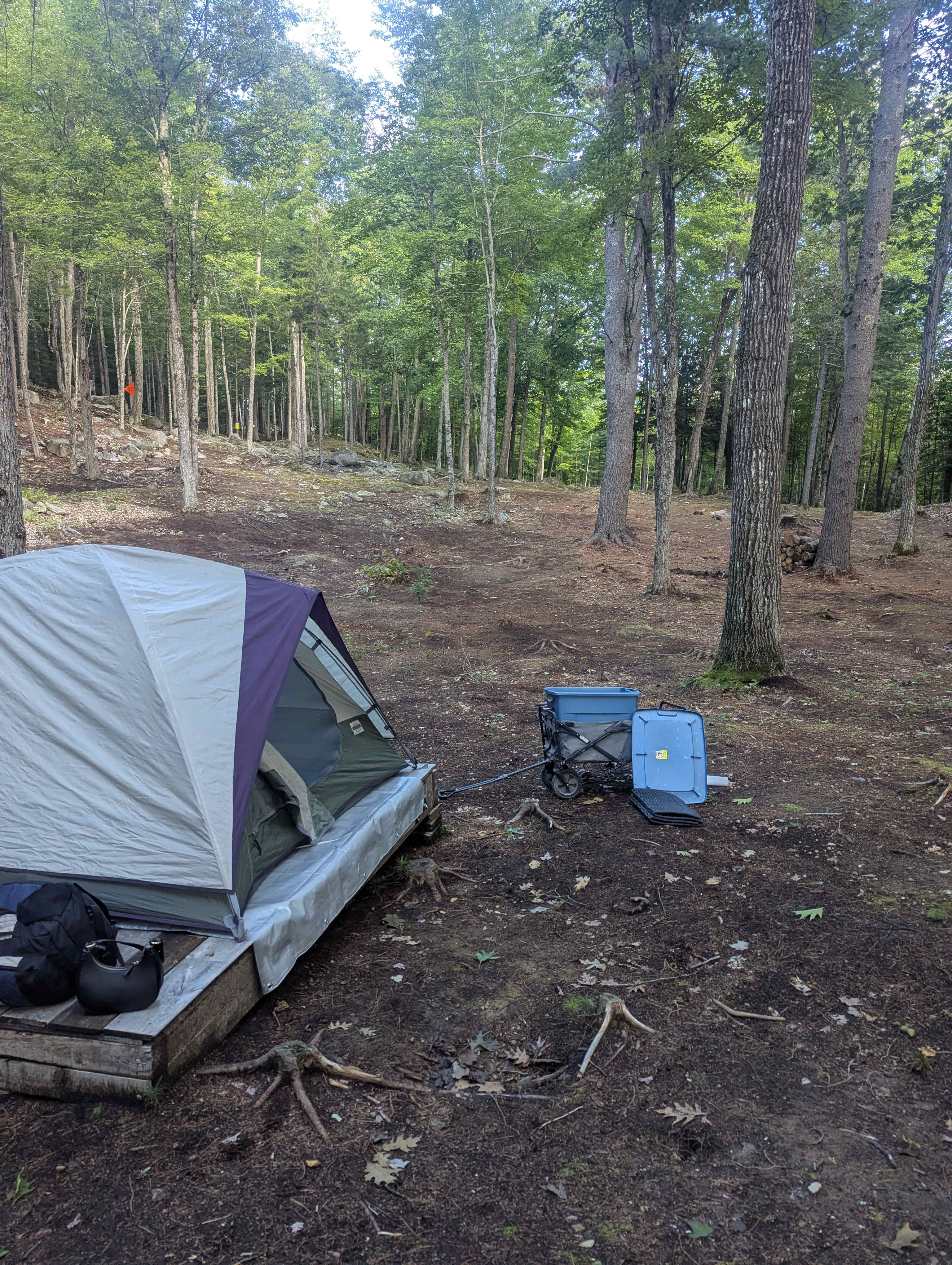 White Mountain Disc Golf Camping