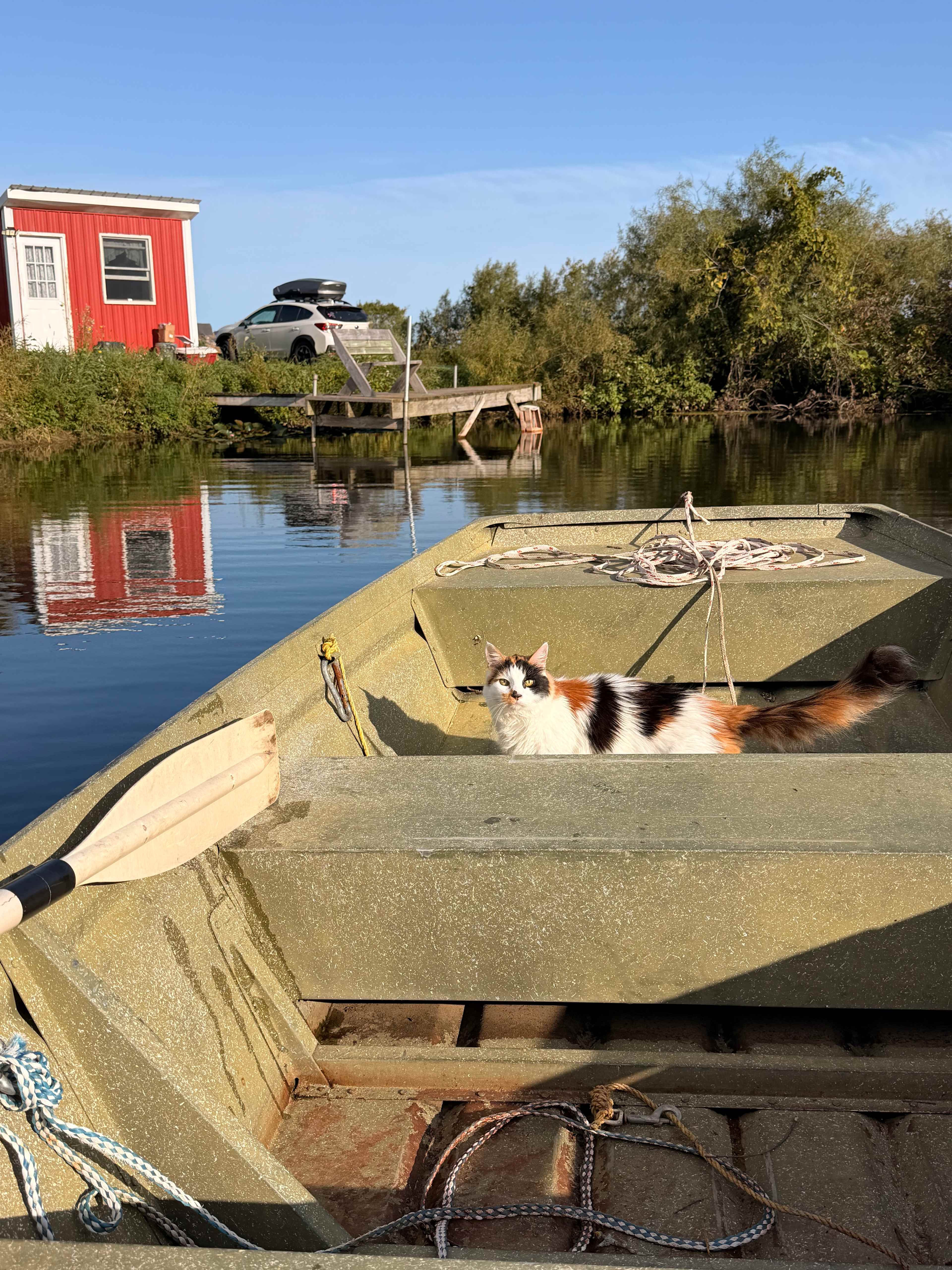 Bluegill Haven