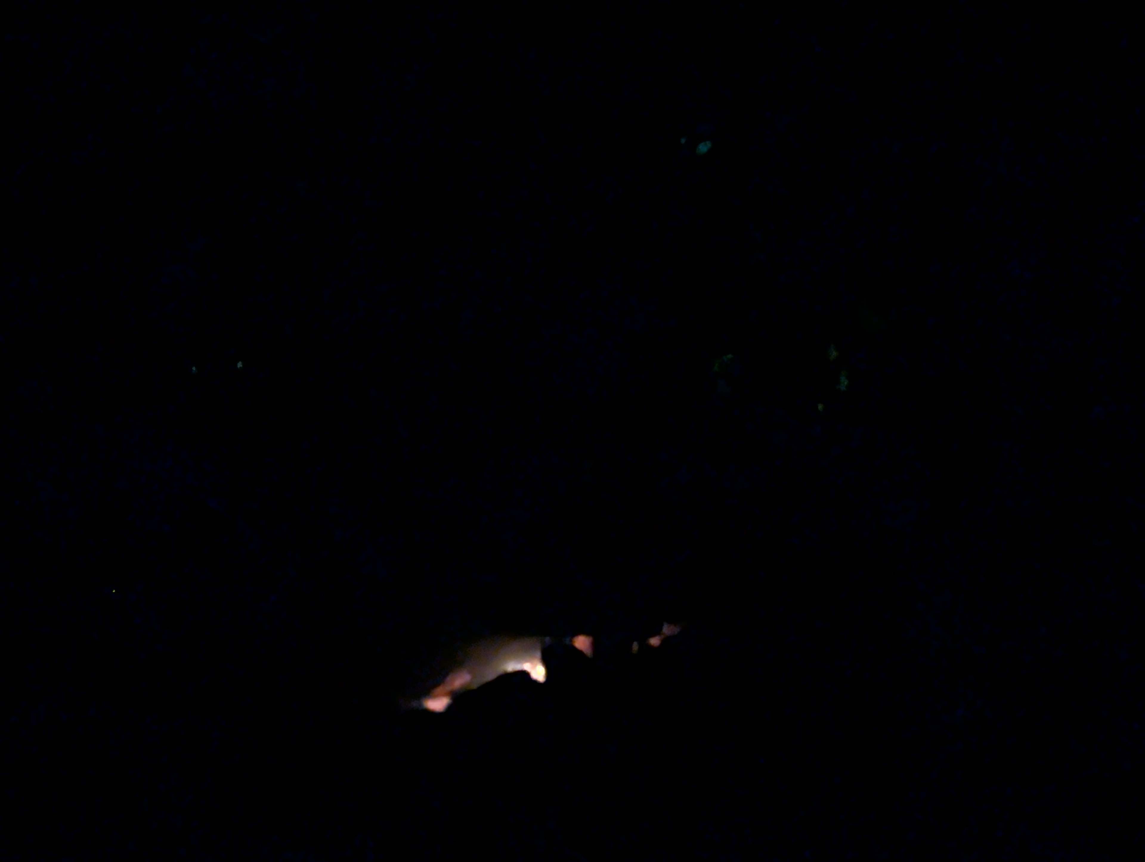 Stars in the trees campfire