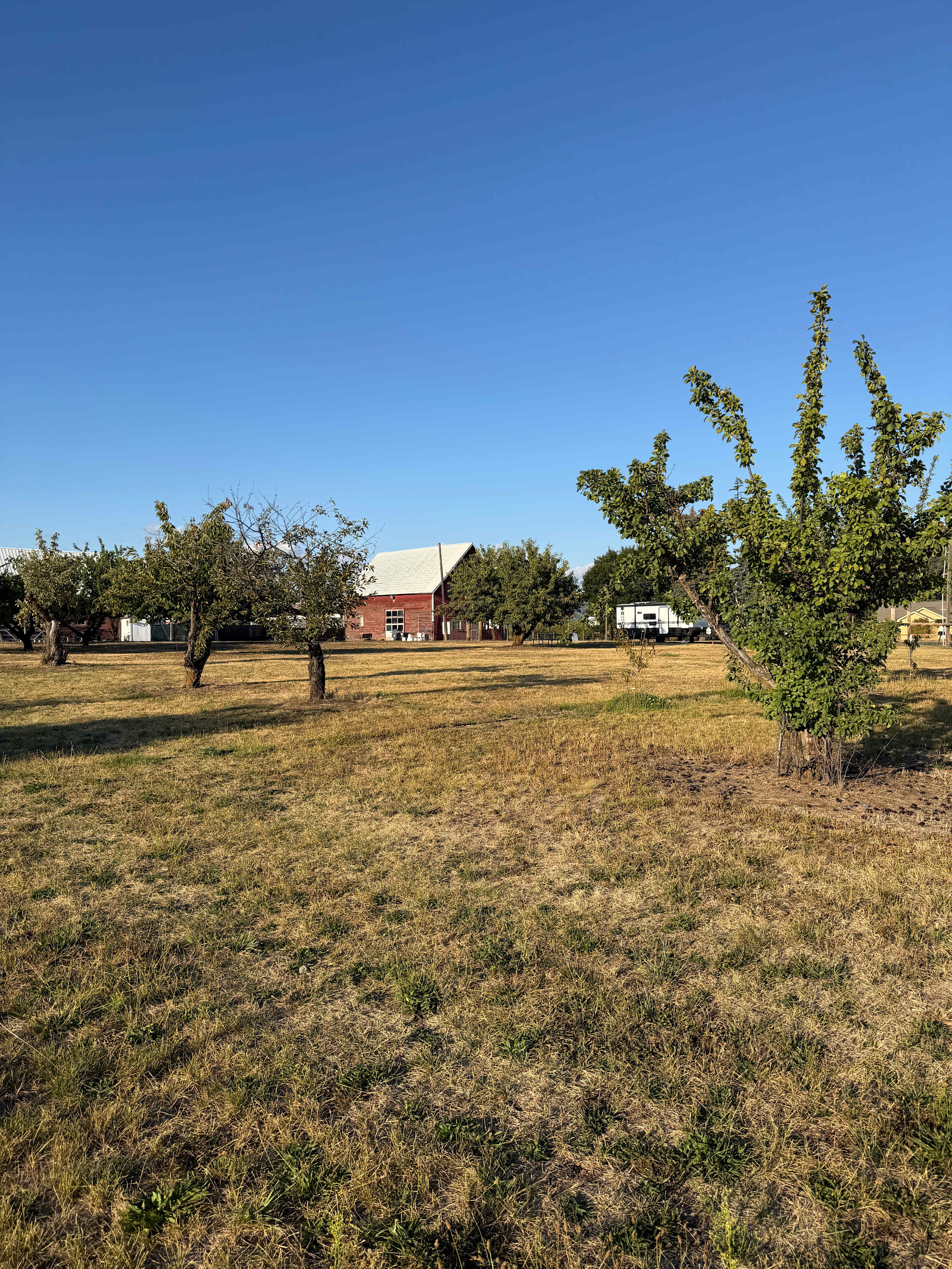Nàdair Orchard