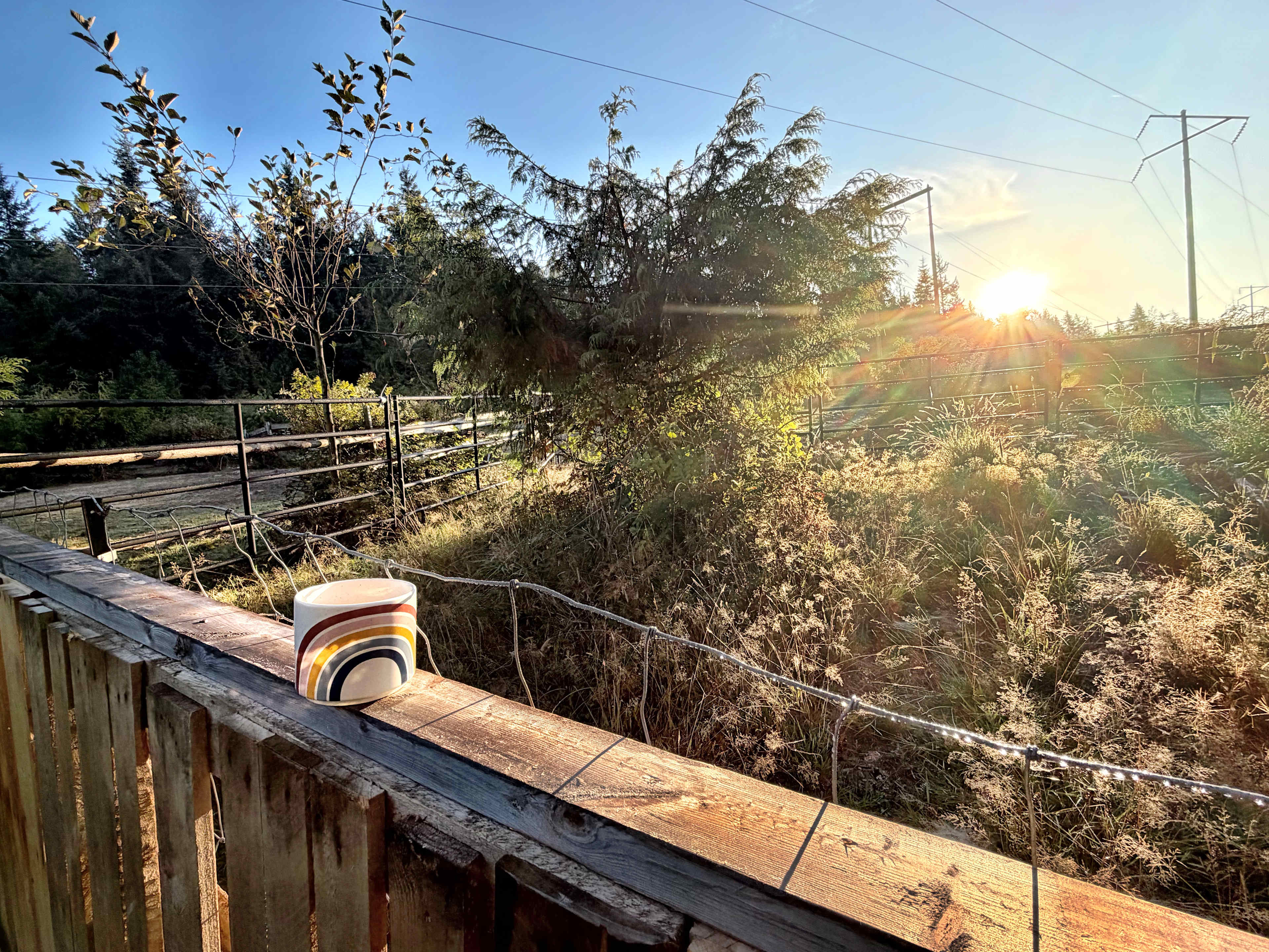 The Camp at Kitchensink Farm