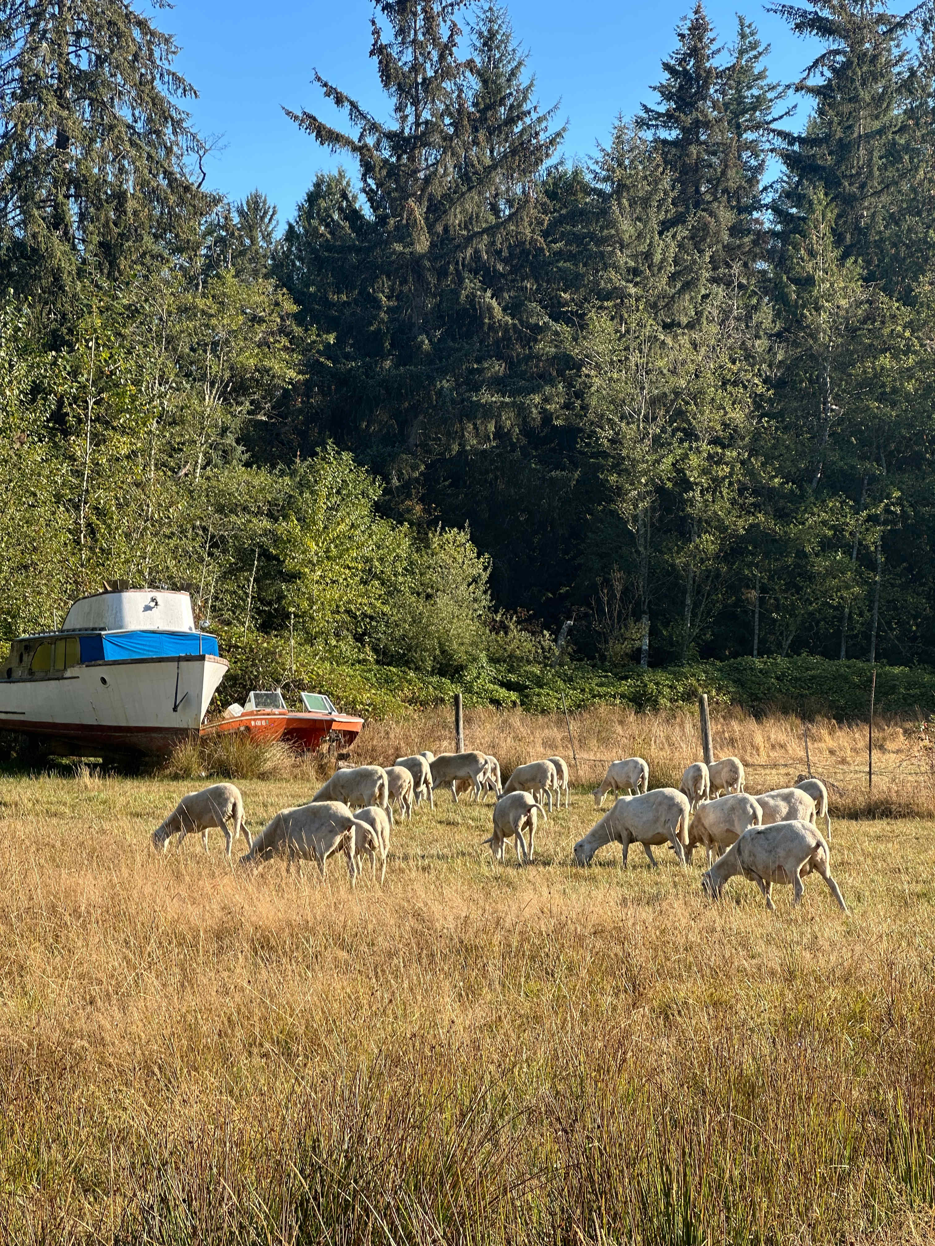 The Khohay Farm