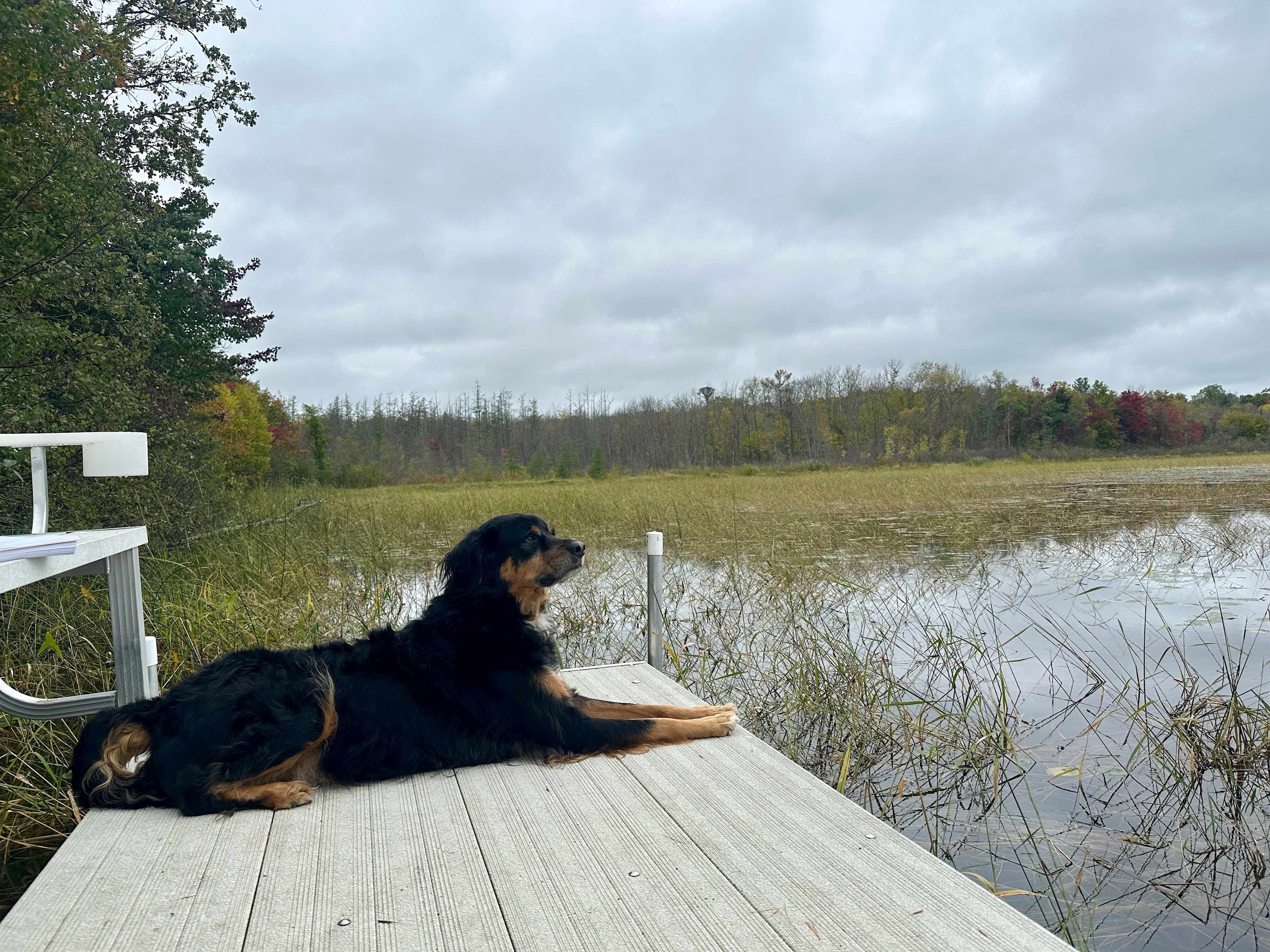 Harvest Loon Camp