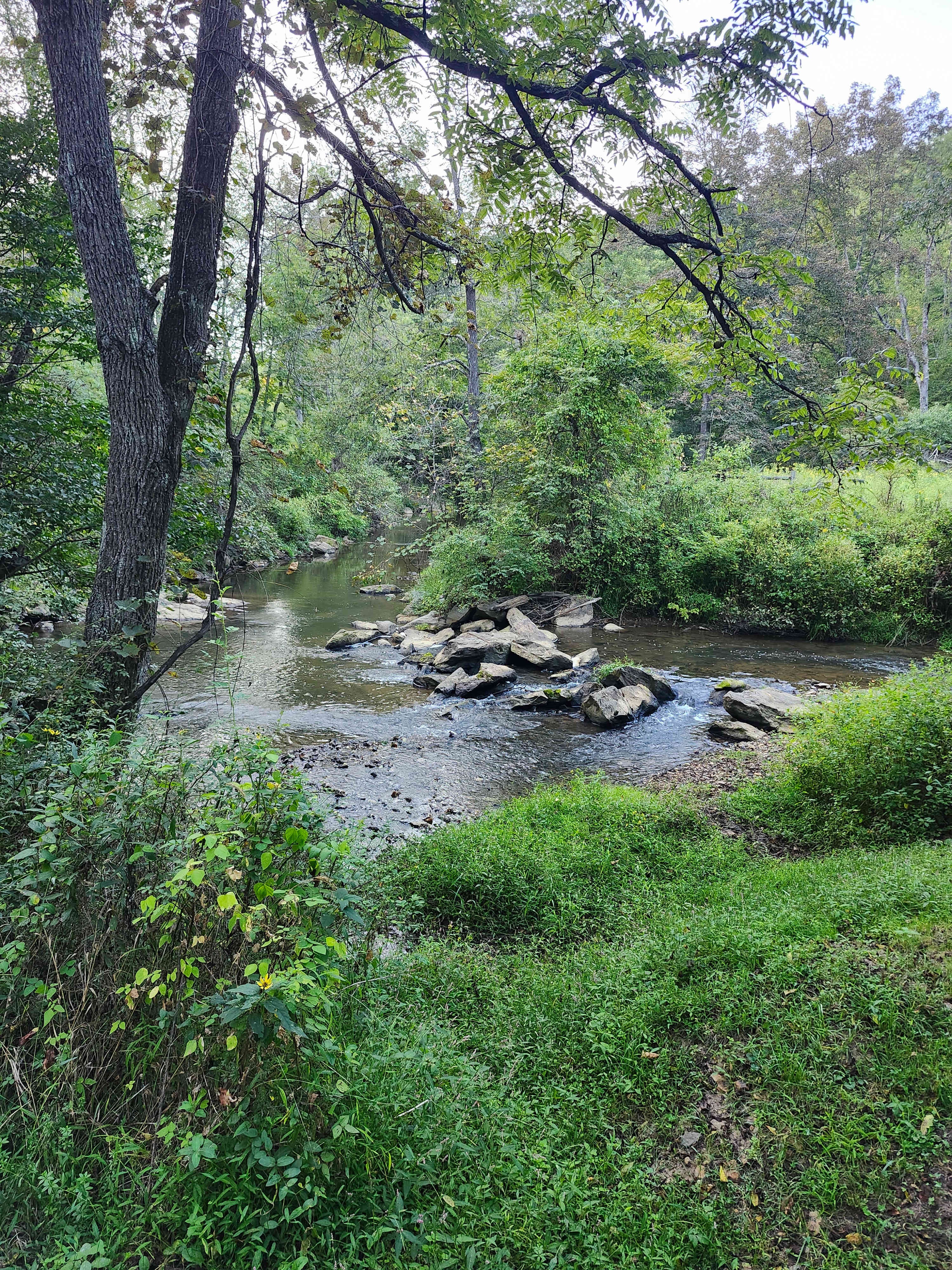 Hippie Hollow
