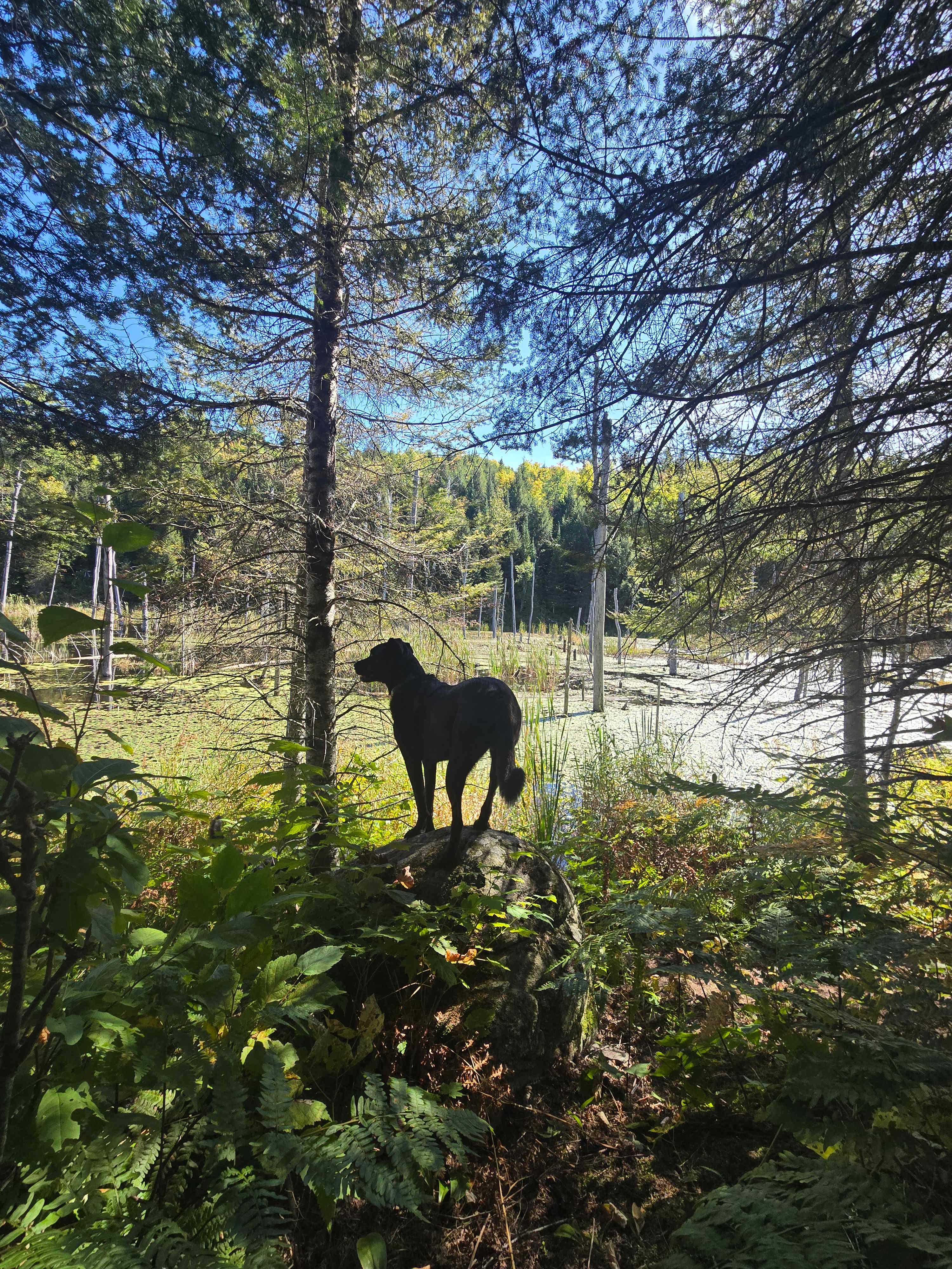 LeTerrain-400acre dark sky Park
