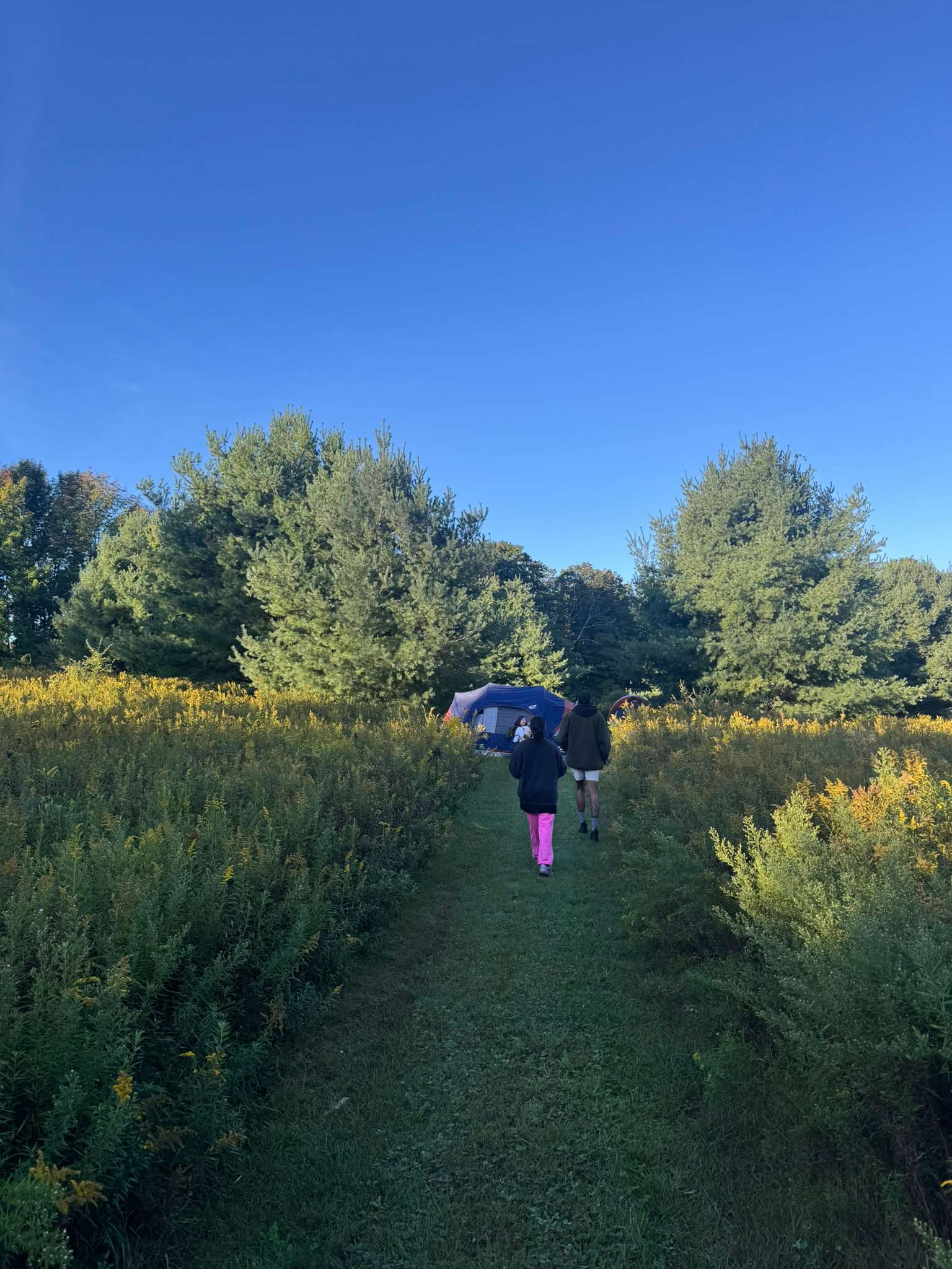 Upper Shire Campsites Hudson Valley