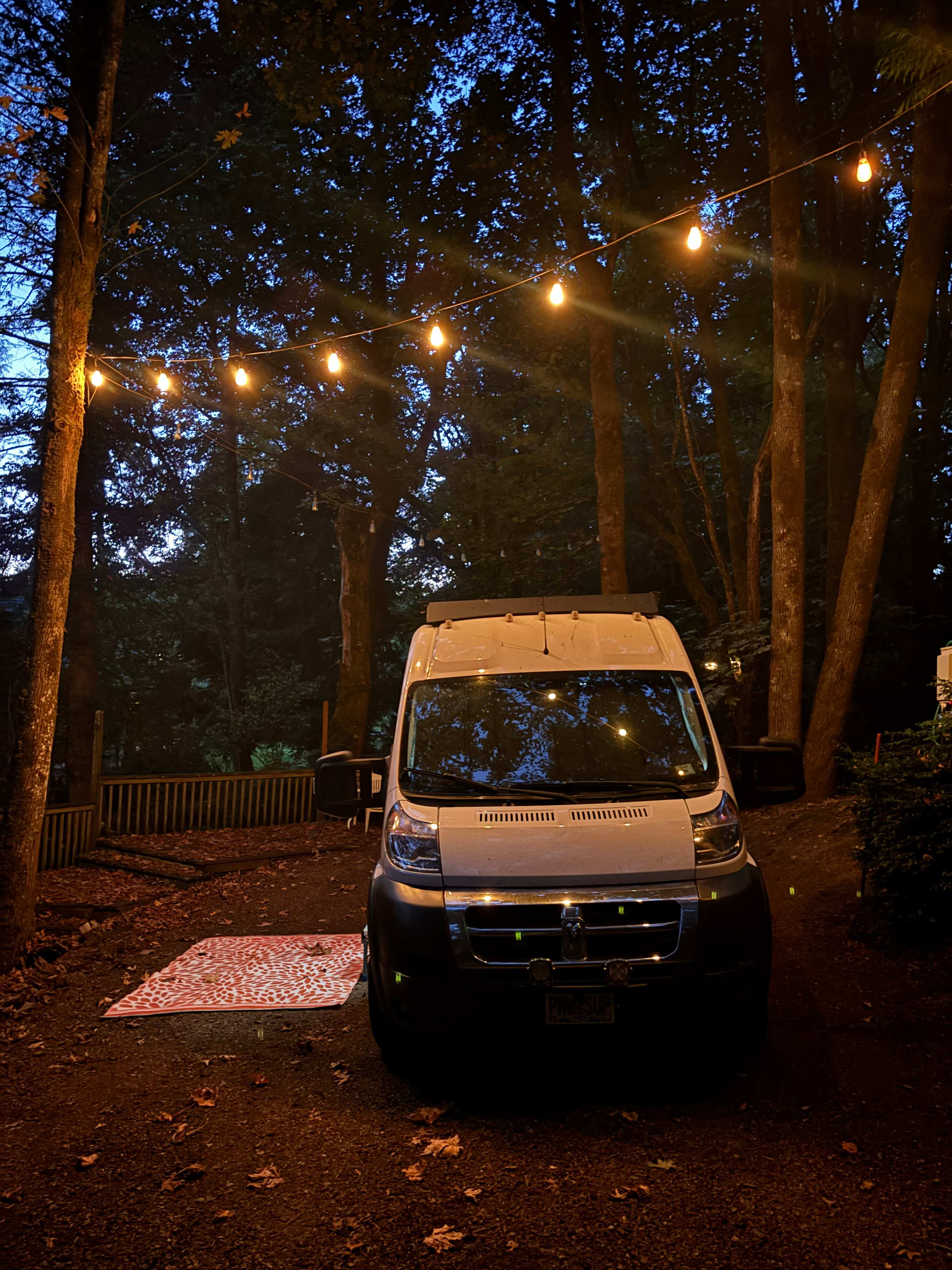 Bistro Light Ambience