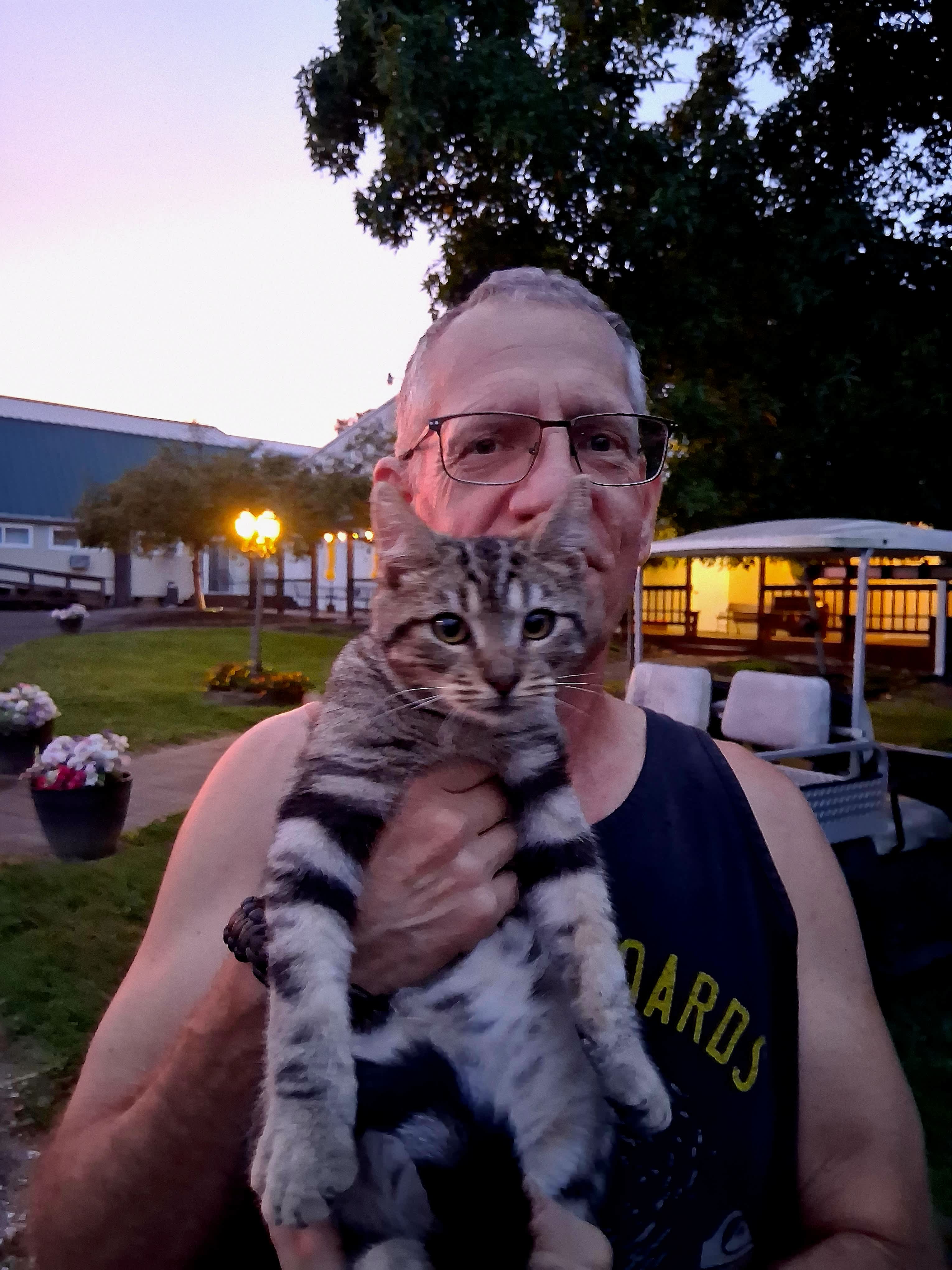 Friendly cat on the property