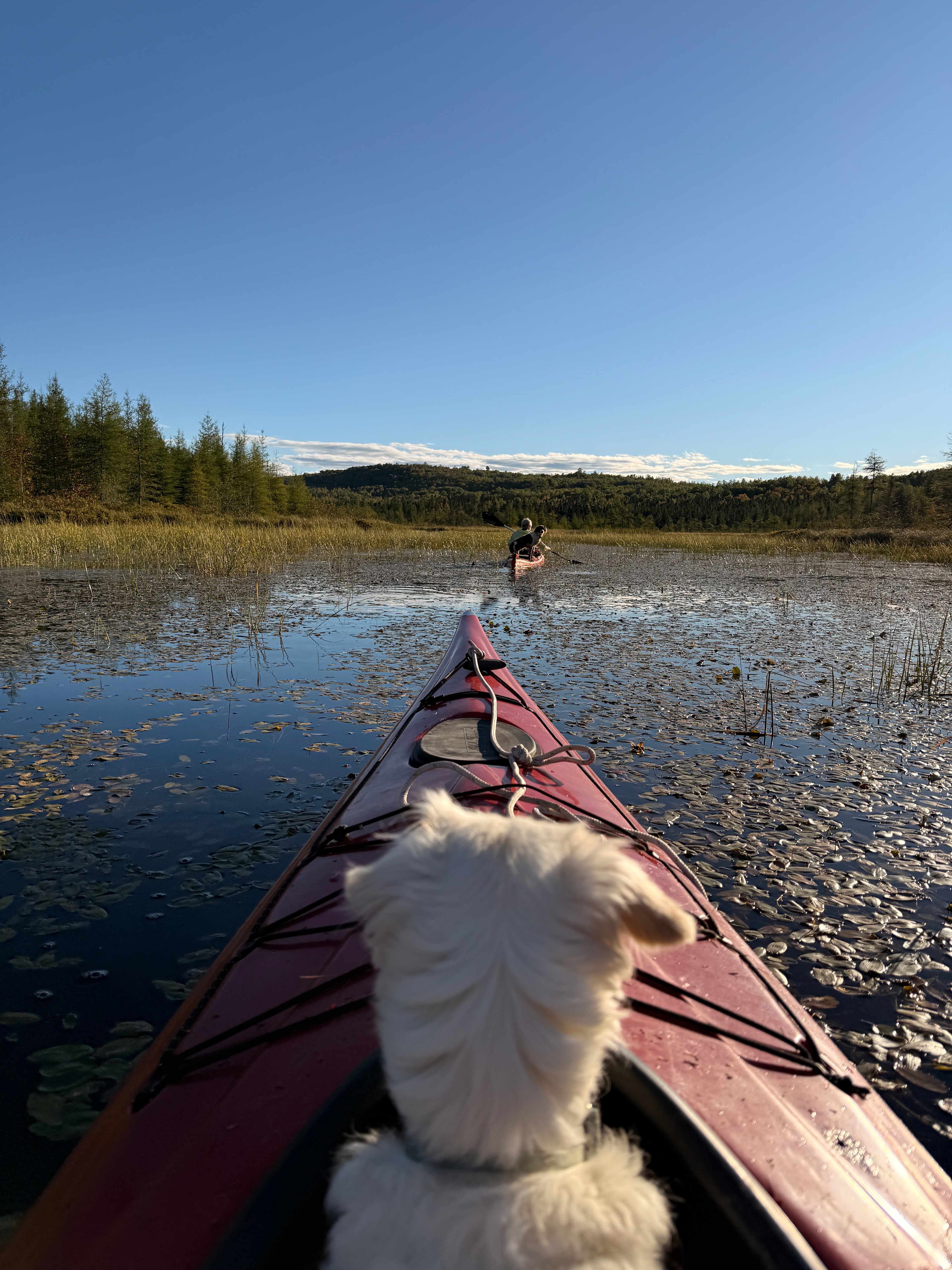 Katahdin Region Basecamp