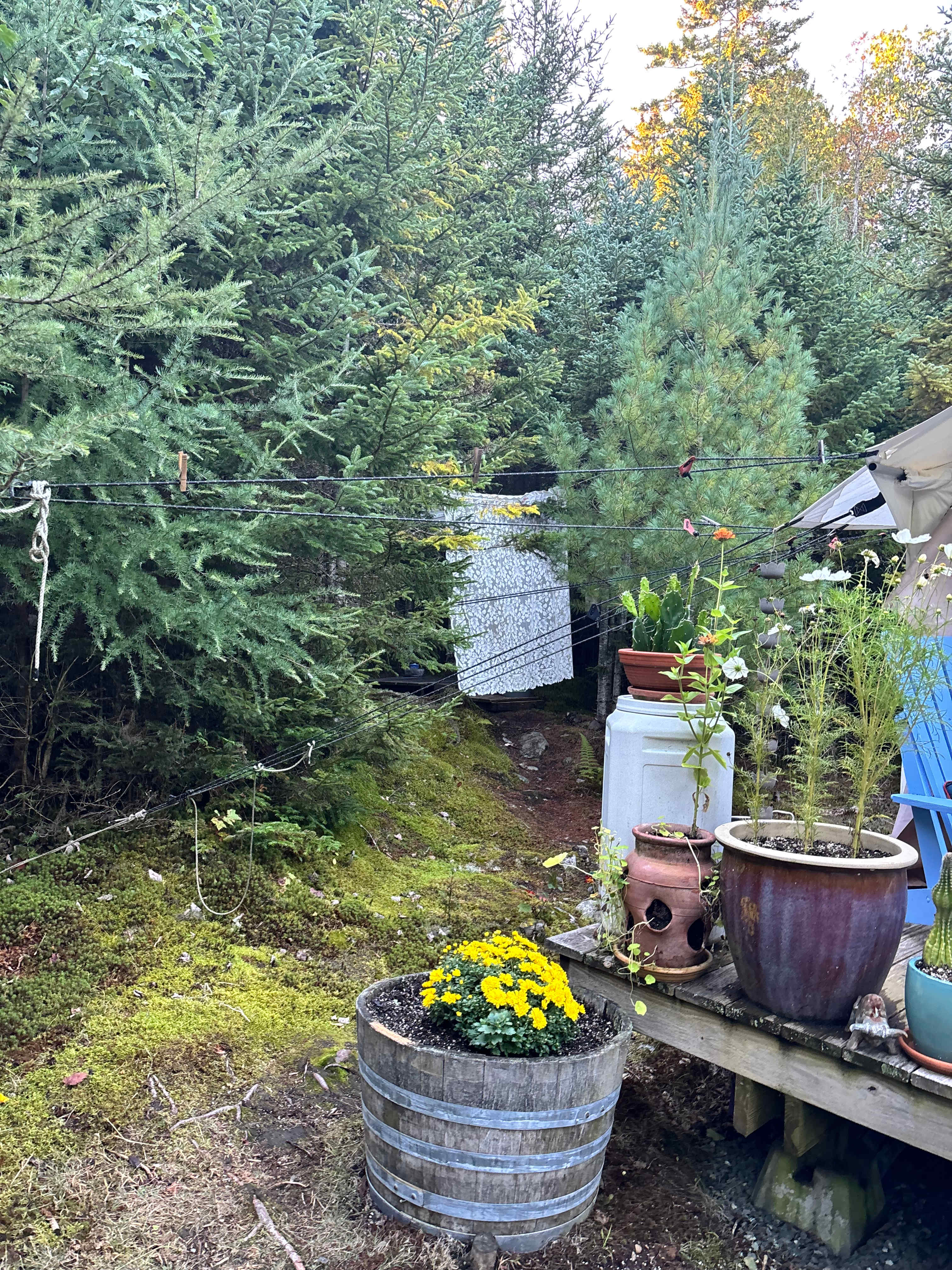 Private Glamping