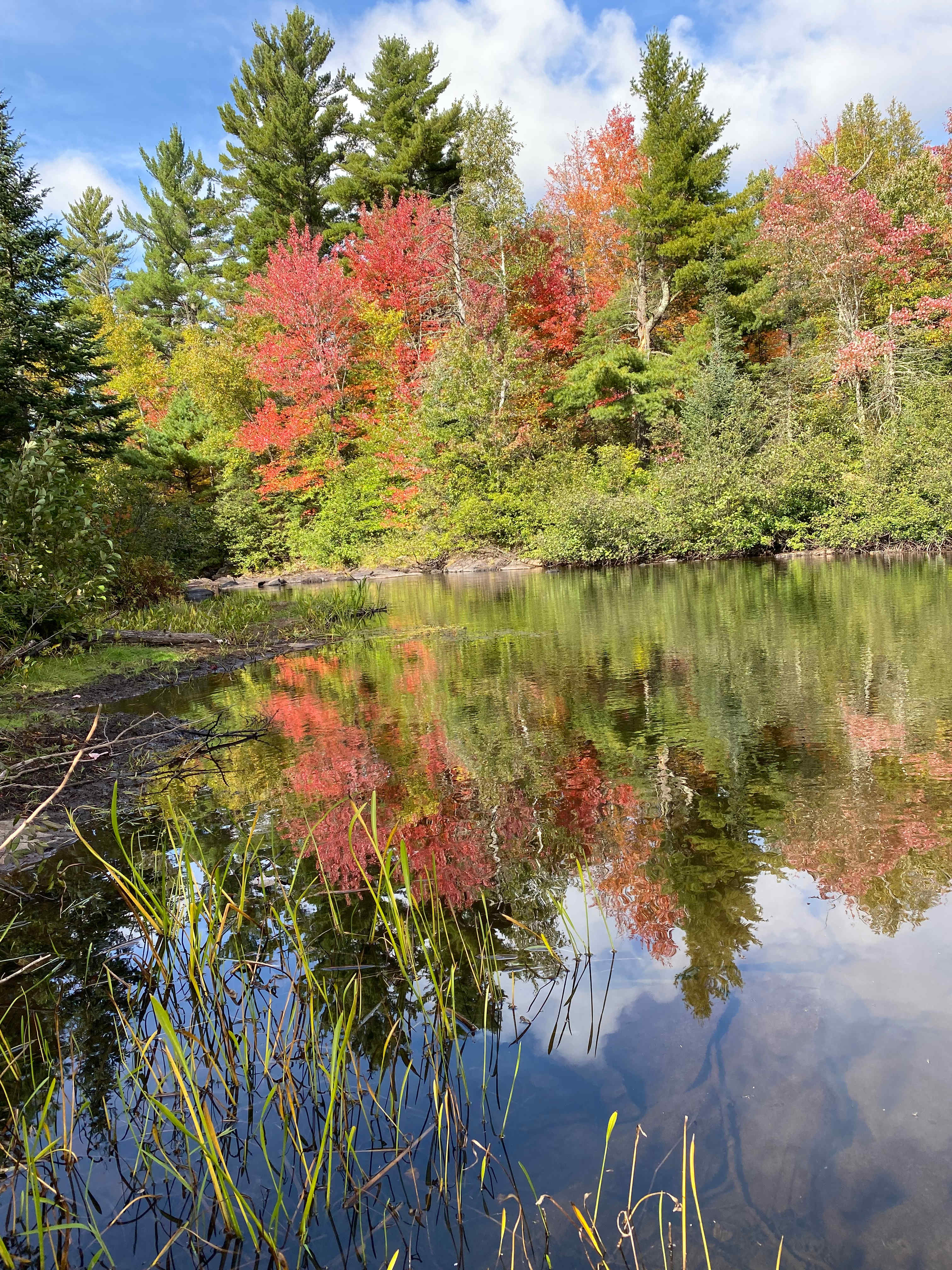 Bad River Wilderness