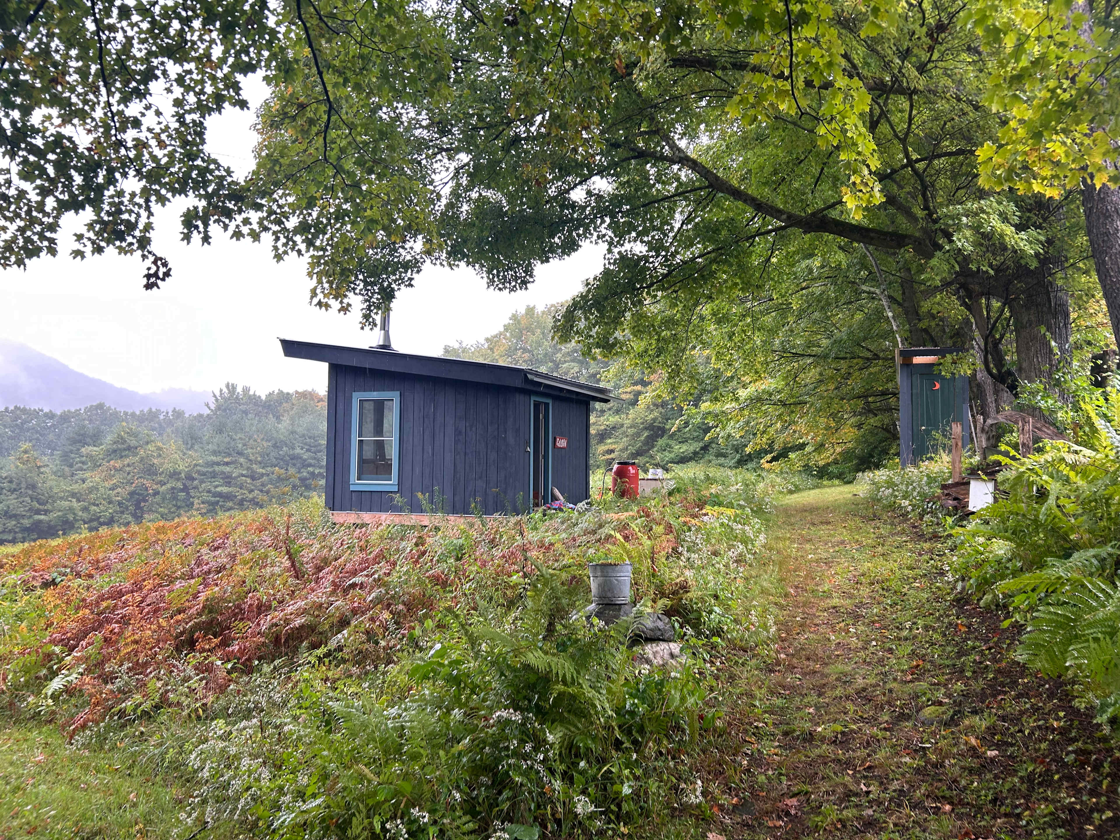 The Cabin