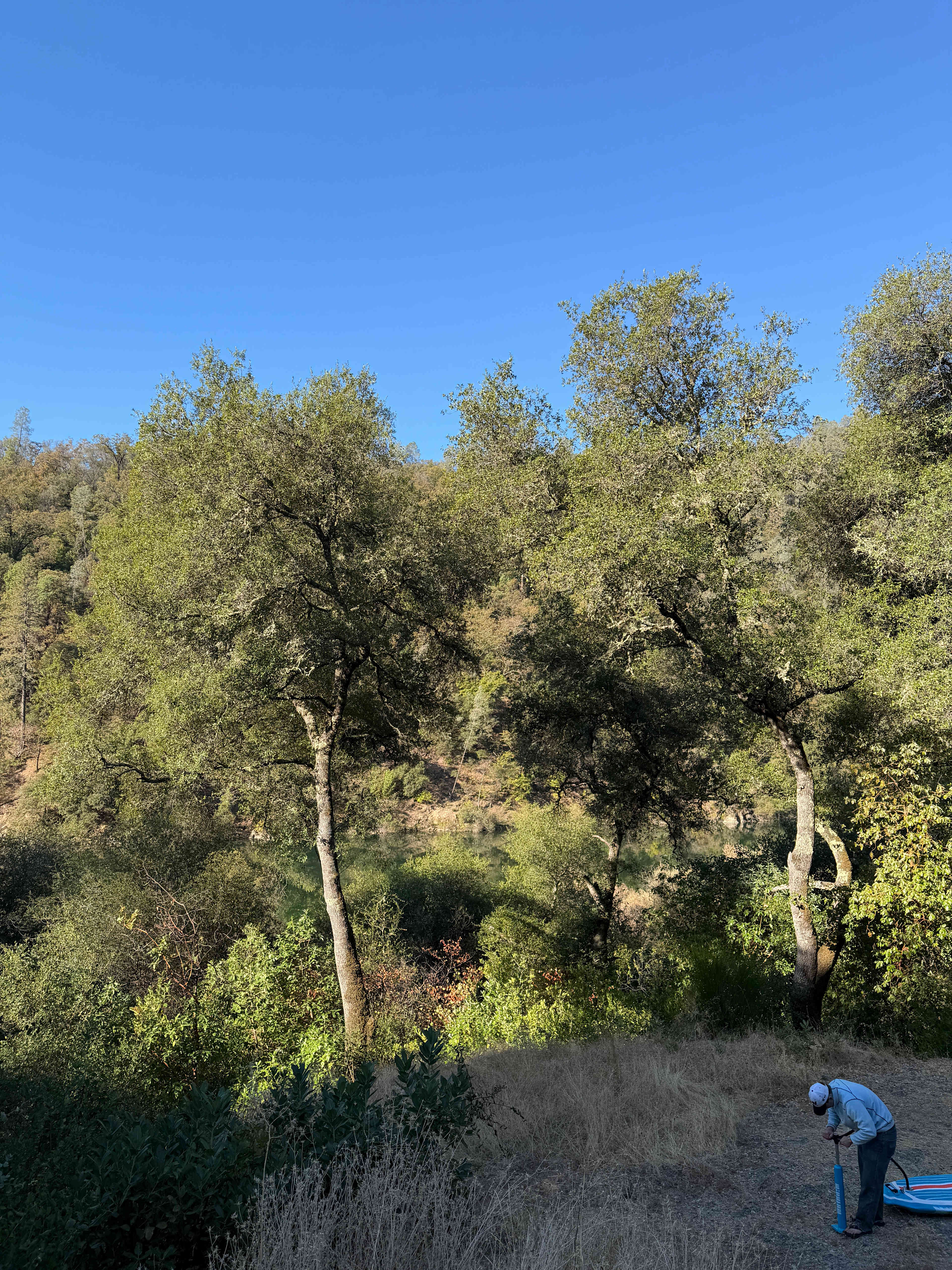 Camp Wildlands Yuba
