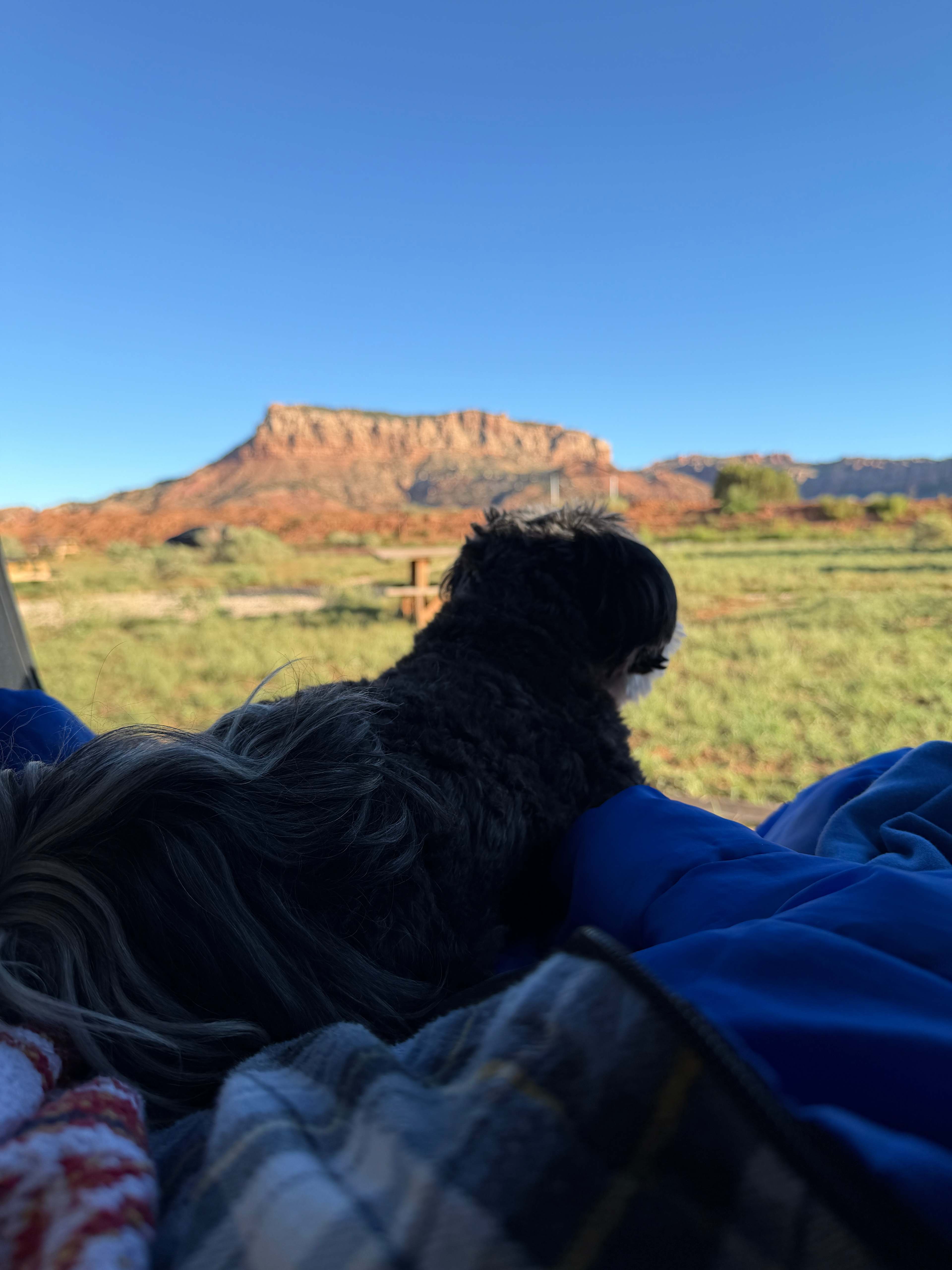 Camp Land Beyond Zion