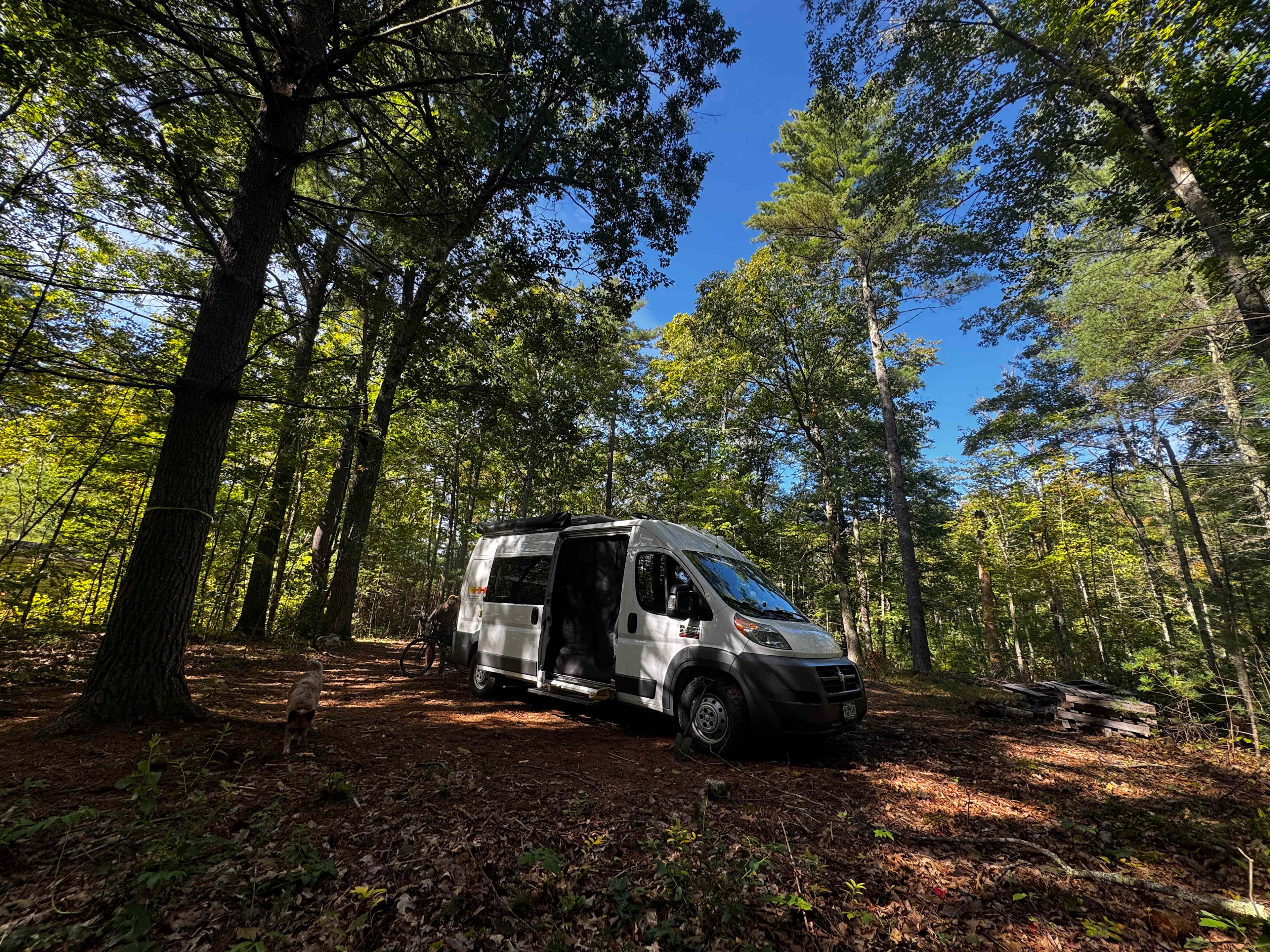 River View Campsite Escape