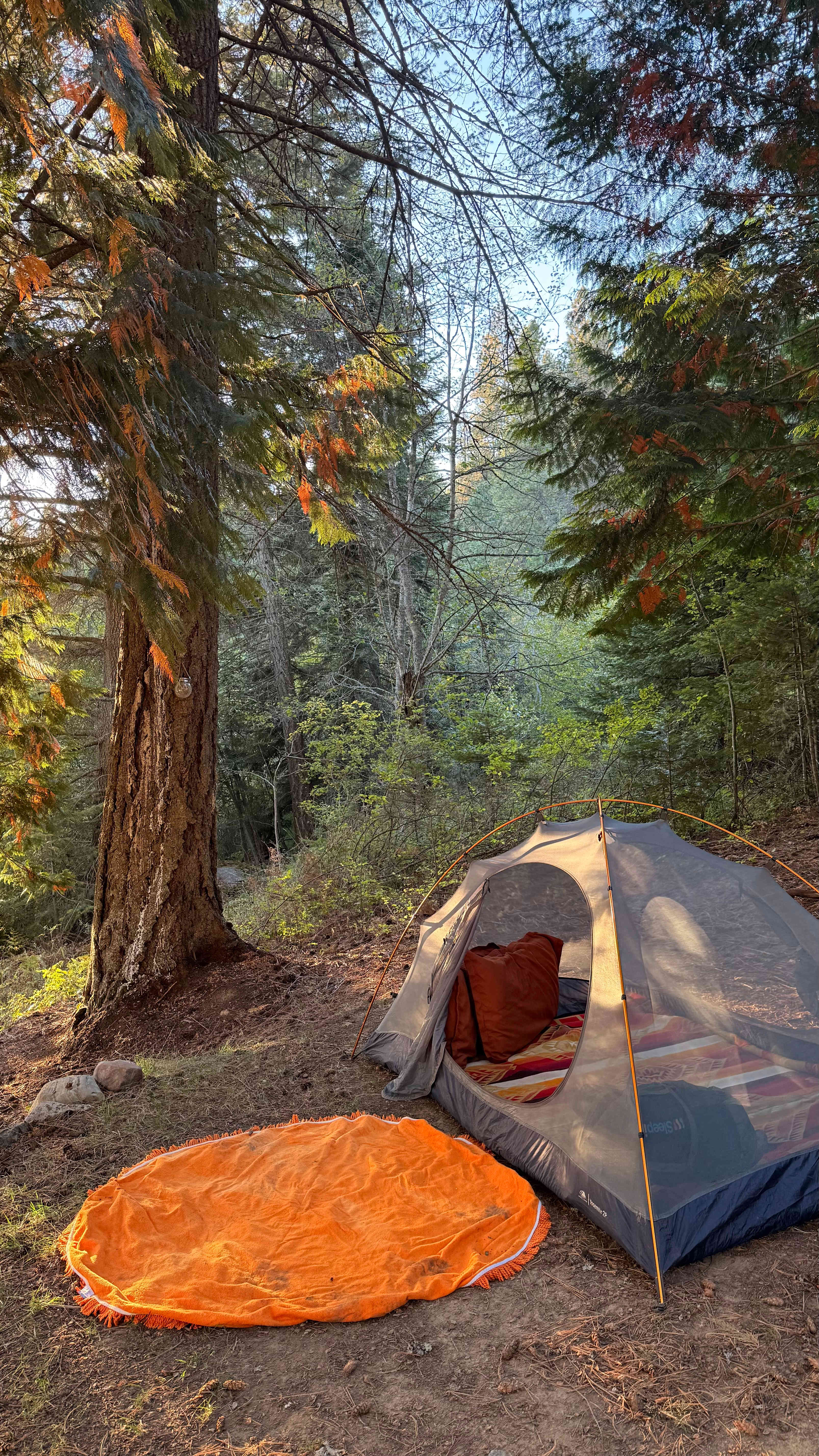 Paradise on Mirror Lake