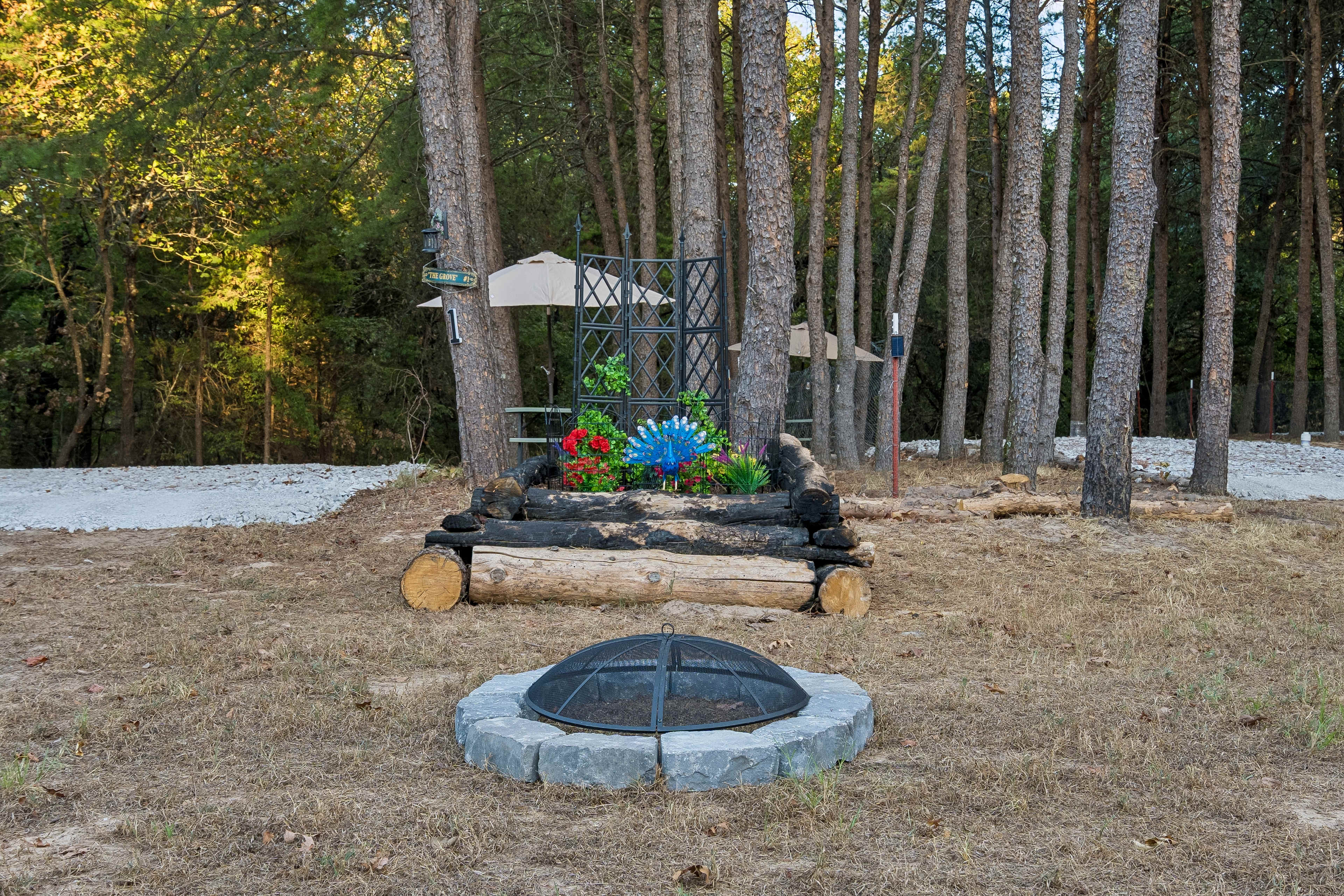 Picture of the site