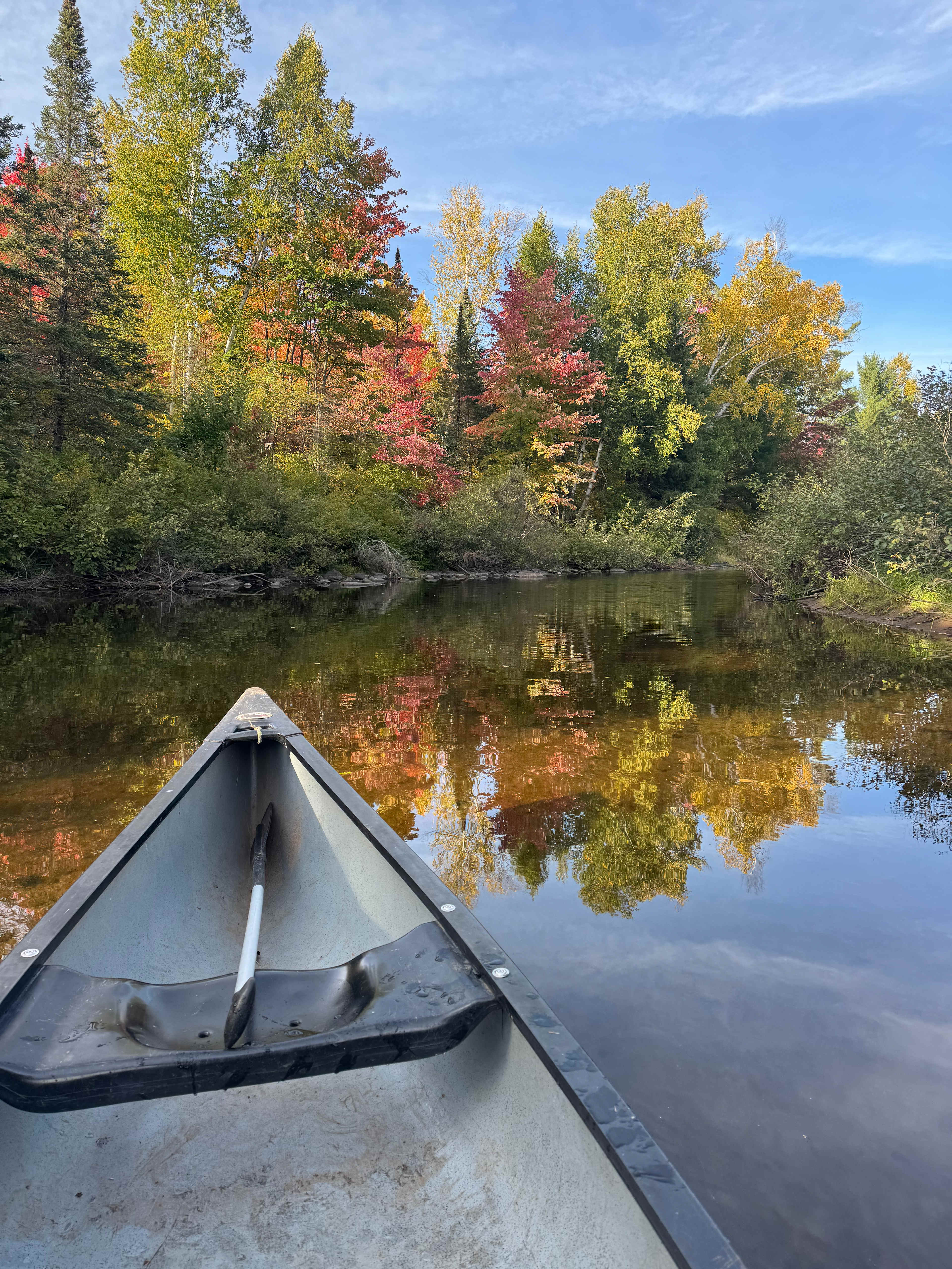 Bad River Wilderness