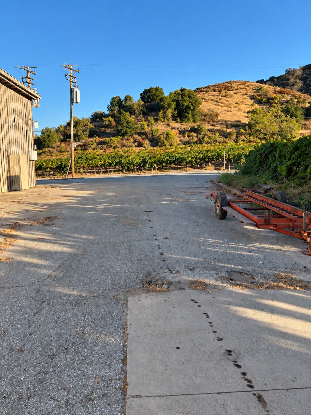 Picture of the site