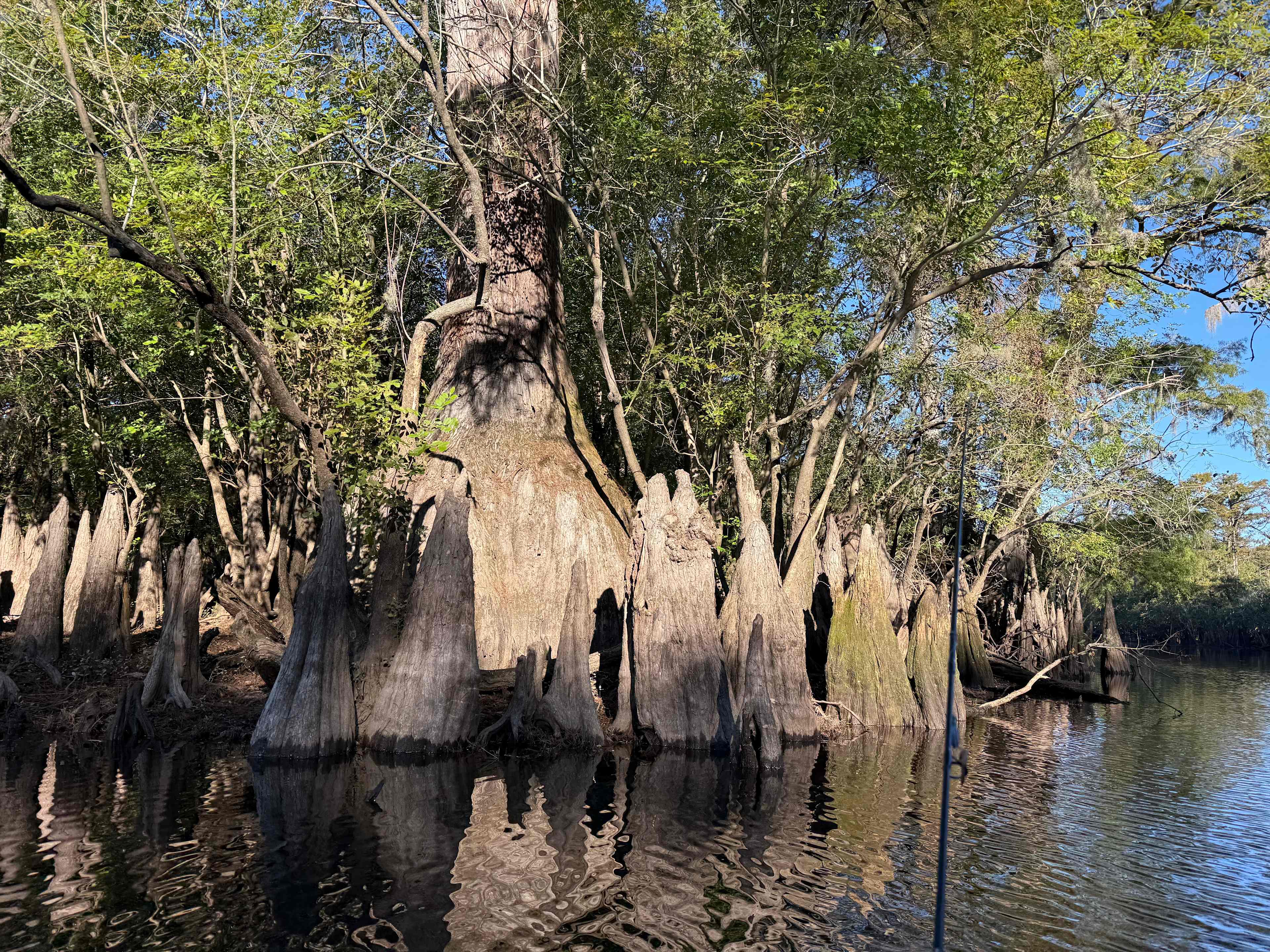 Black River Camping Ventures