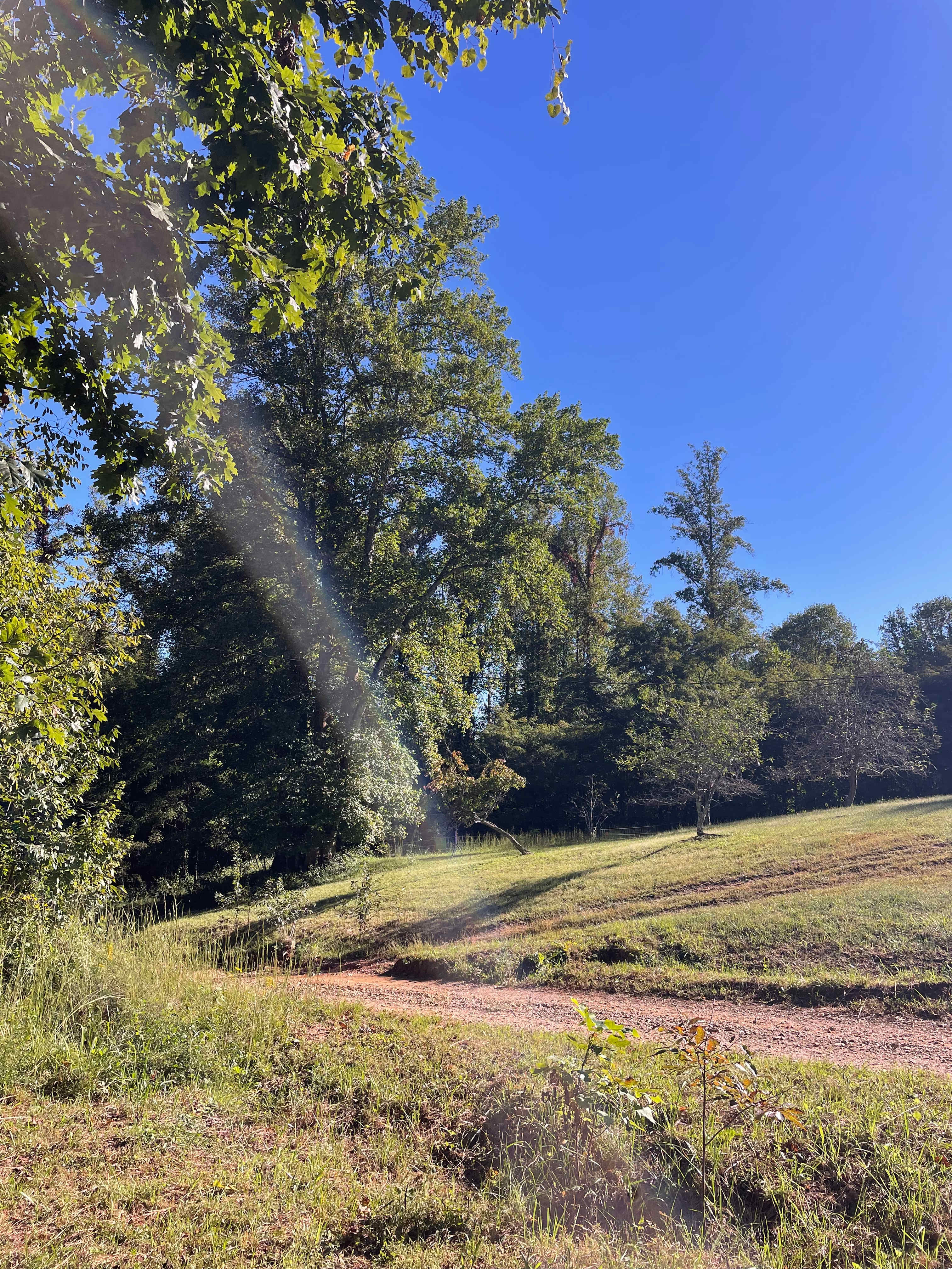 Mountain Farm Camping & Glamping
