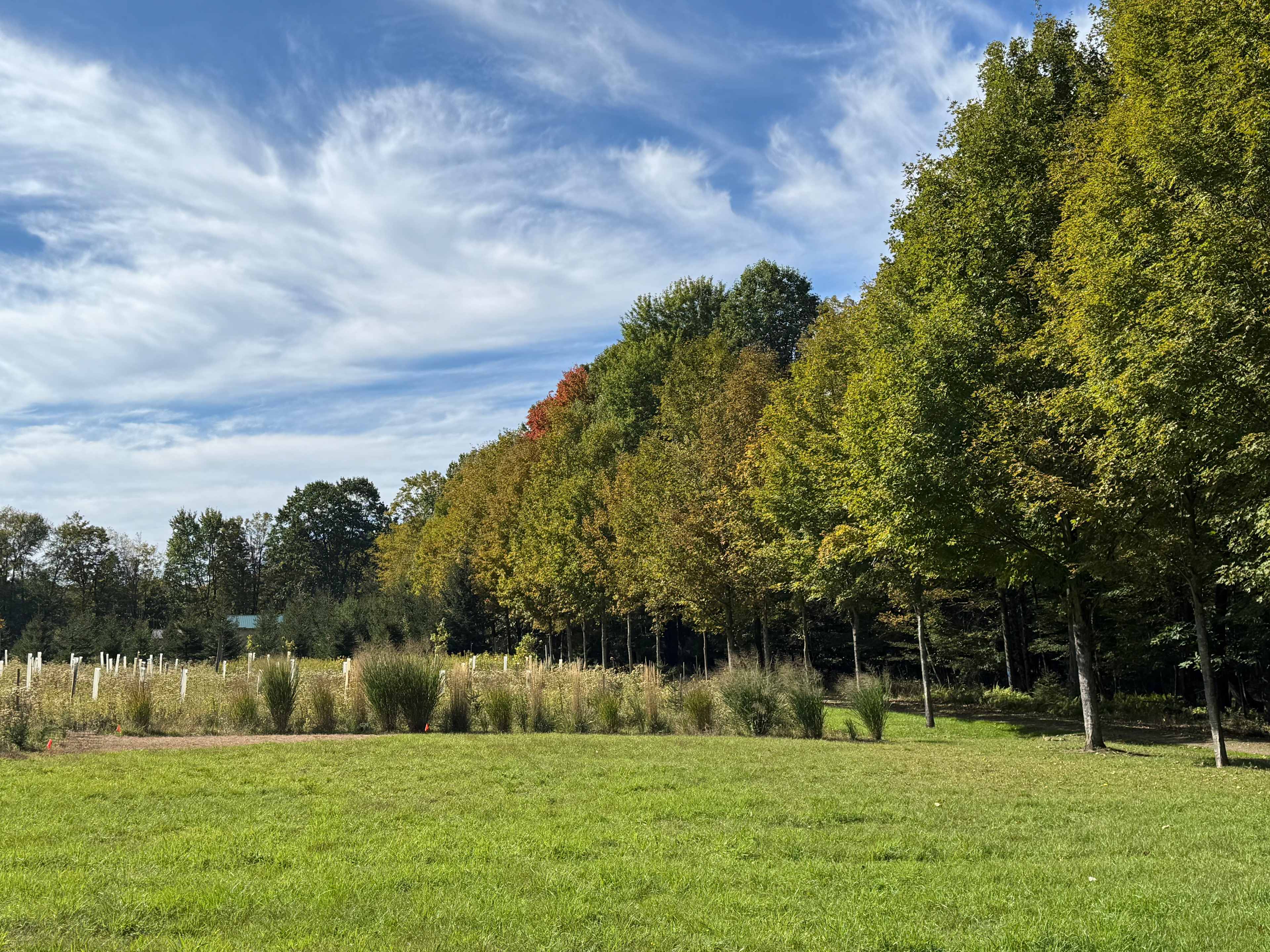 Chappel Hill Tree Farm