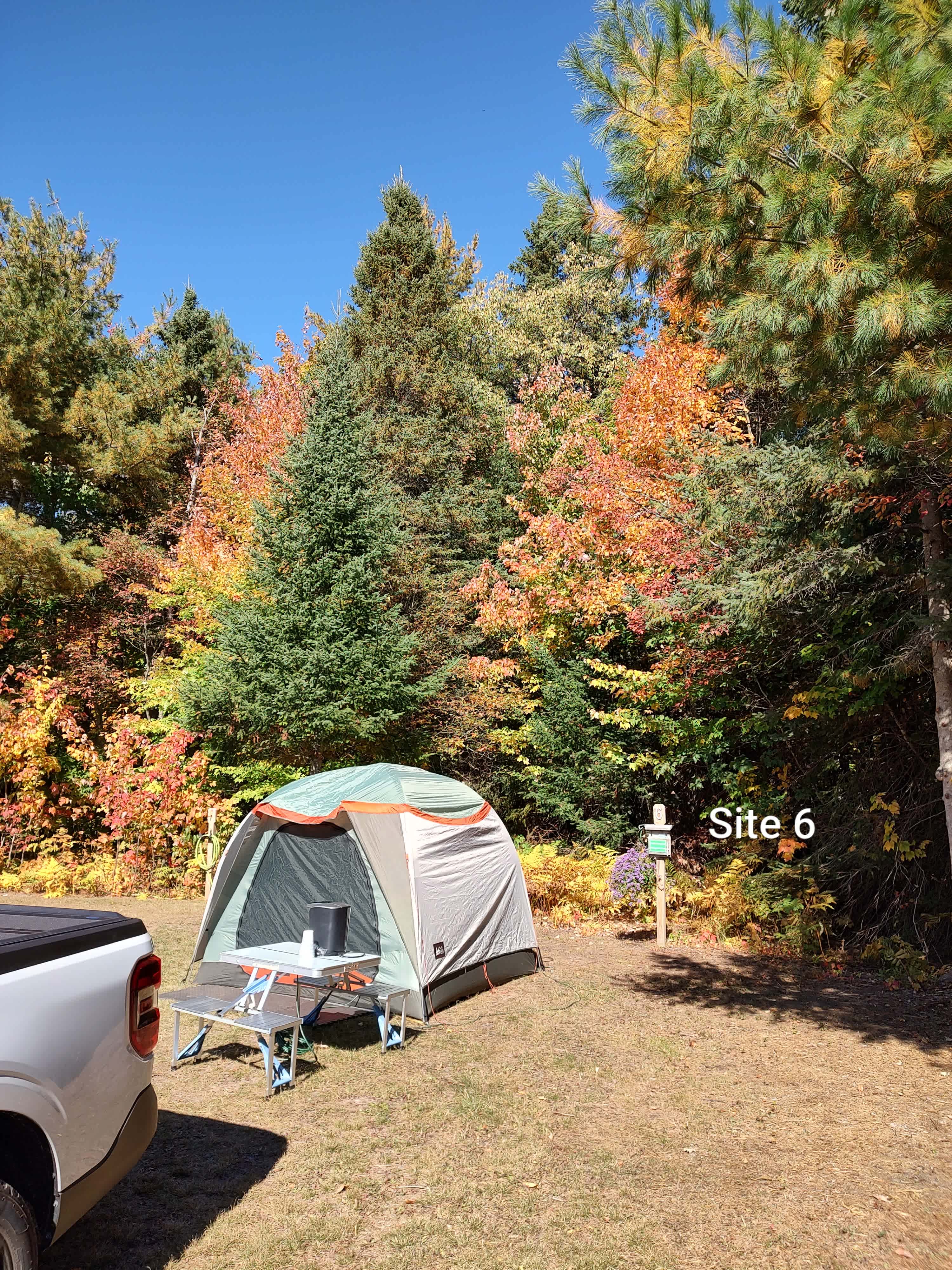 Picture of the site