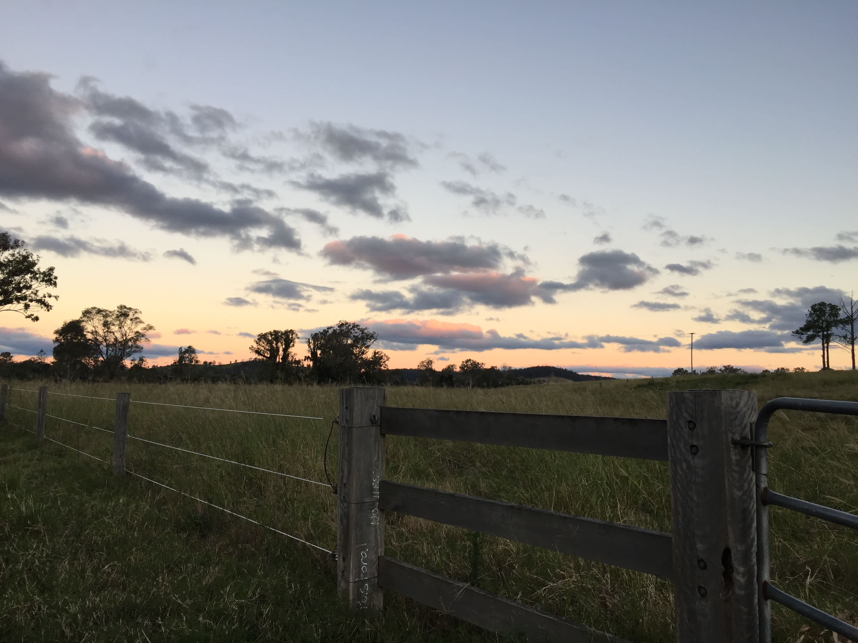 Prime Mary River Camping