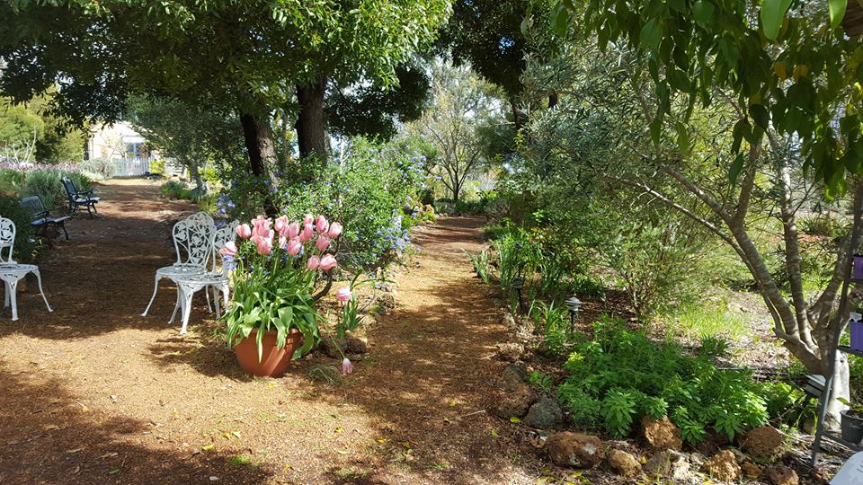 Nannup Lavender Tranquil Campground