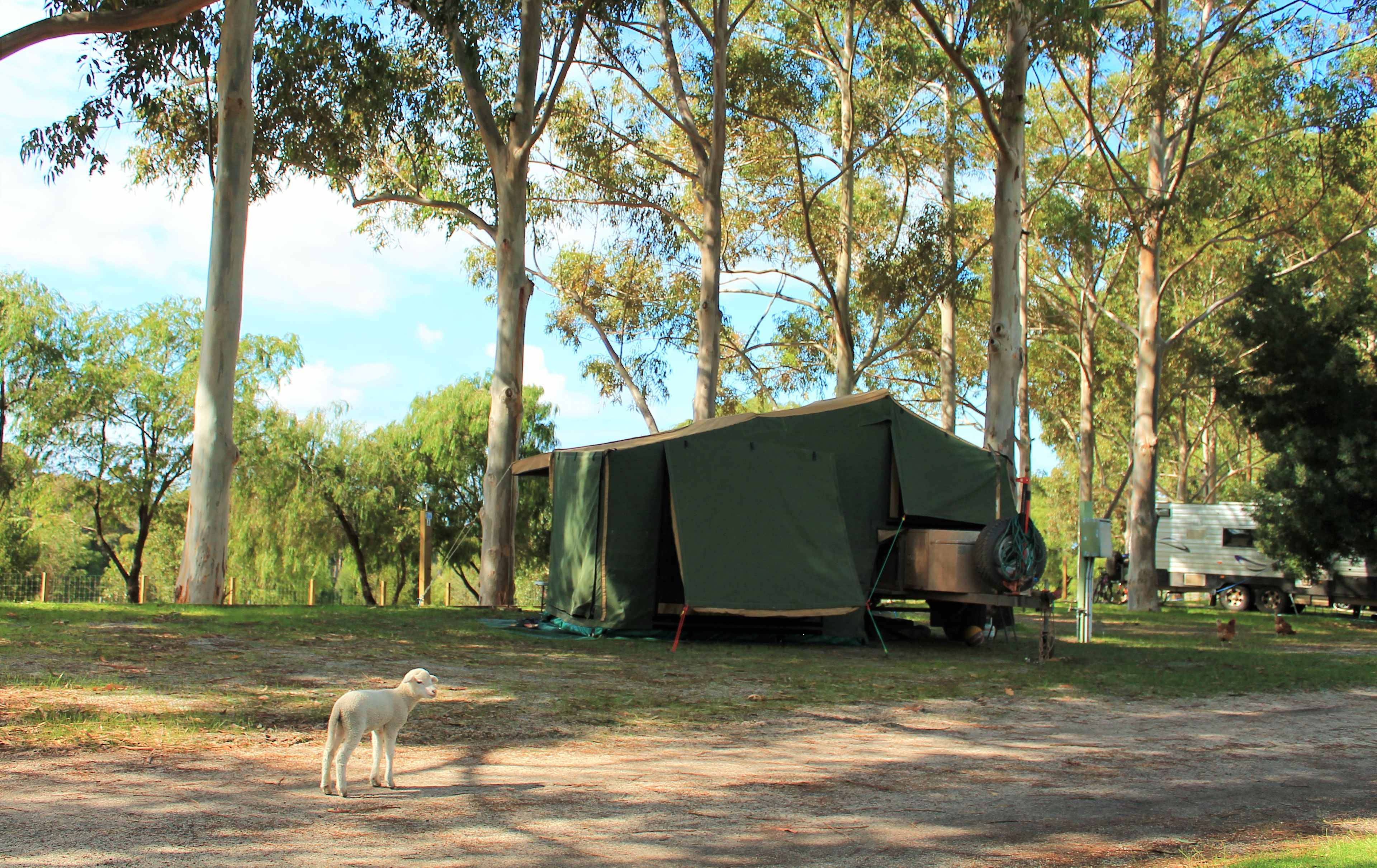 Big Valley Campsite