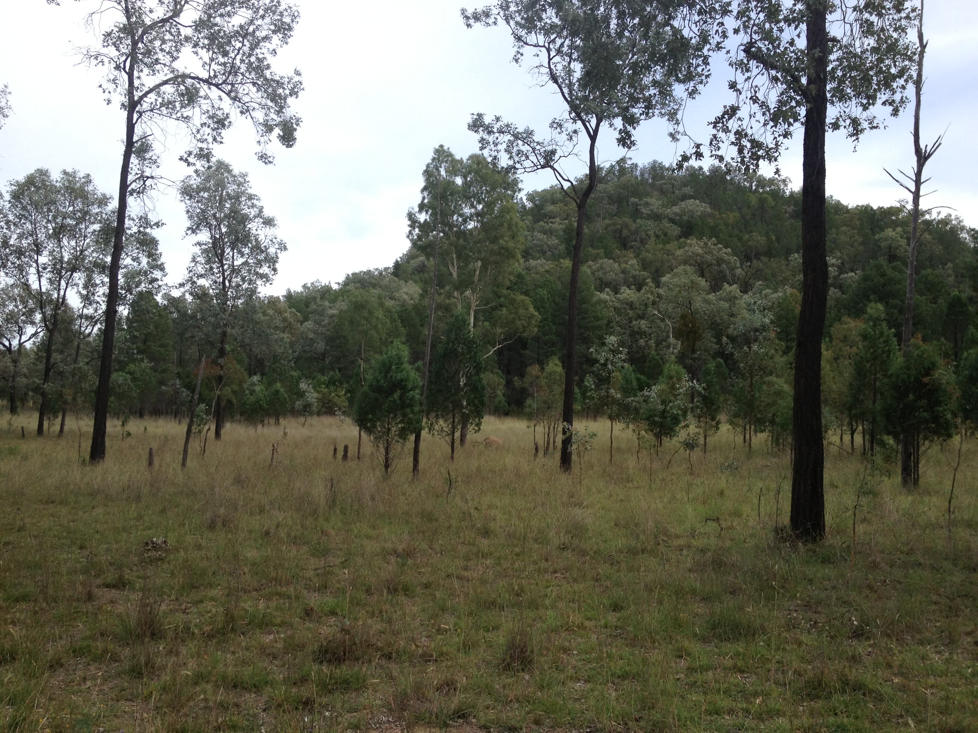 Wongalea Fishing and Camping