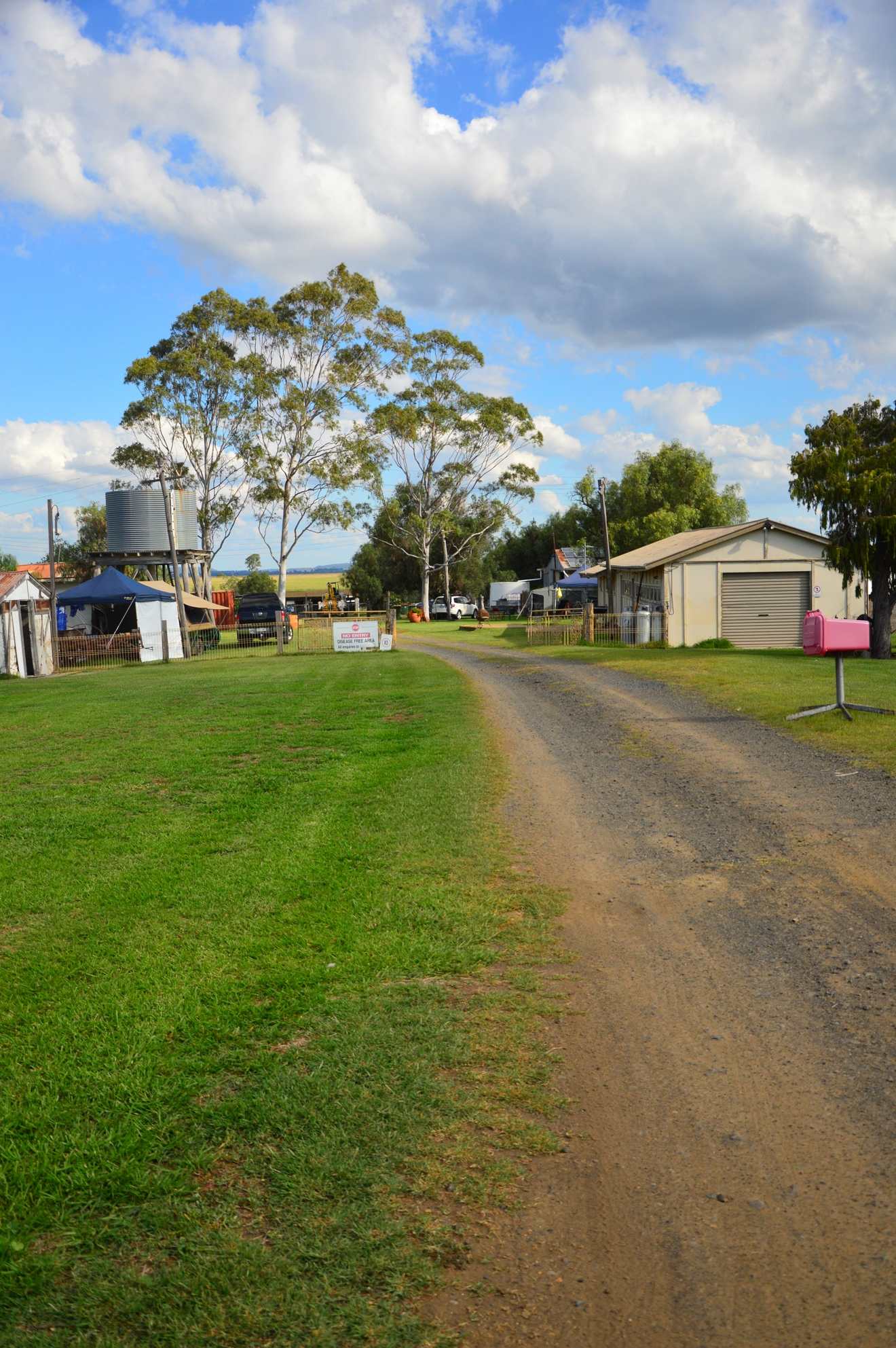 Down the driveway 
