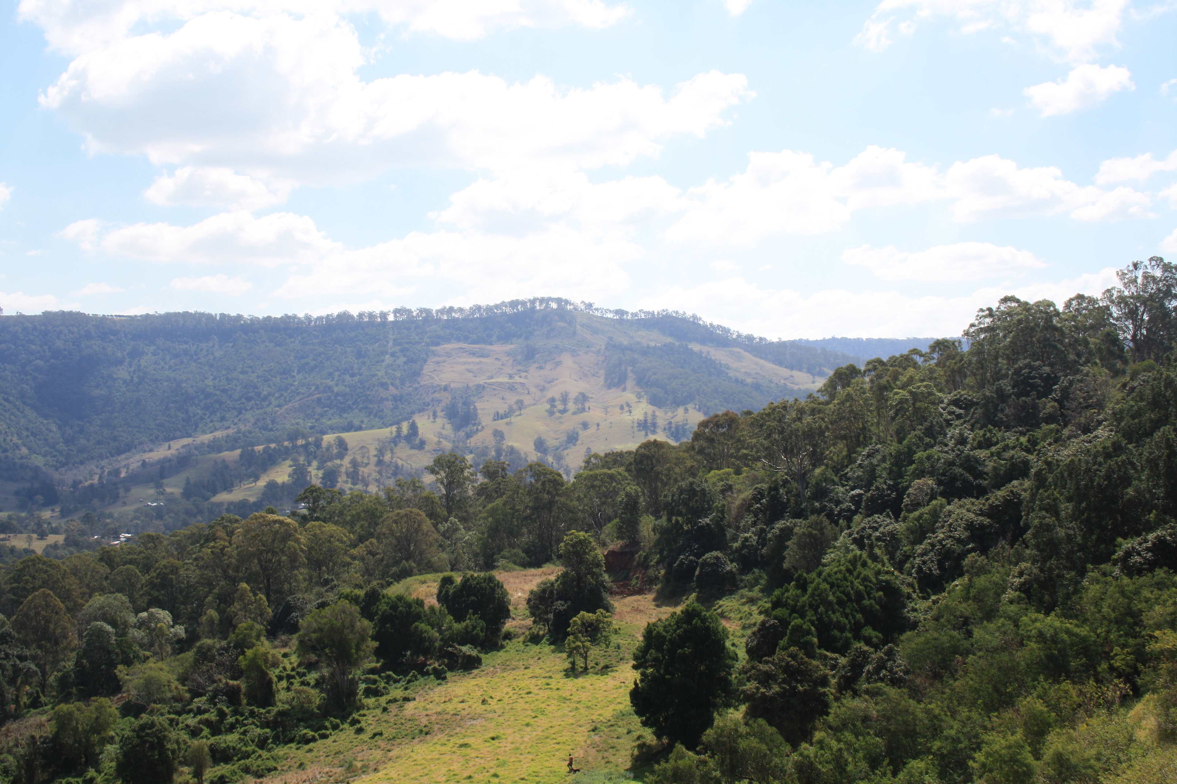 North from the back border