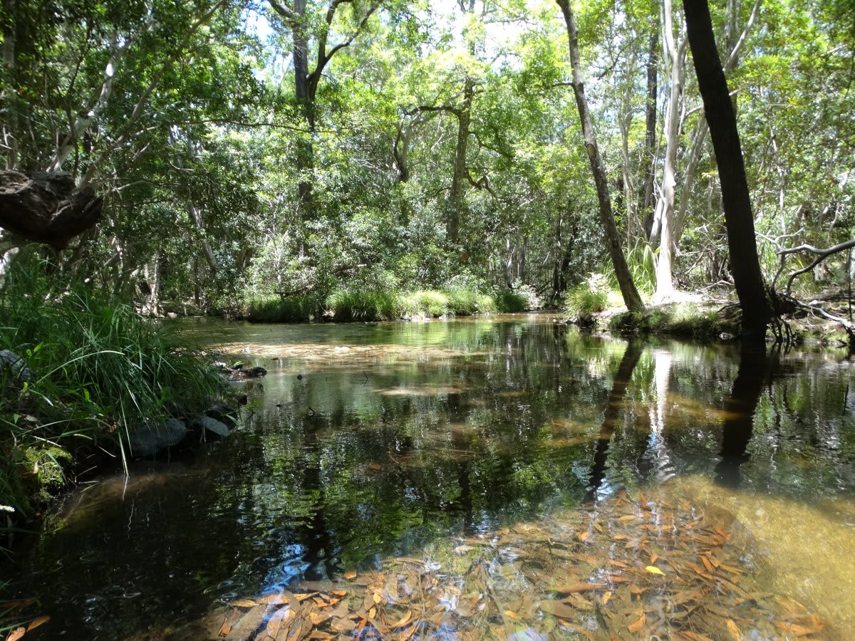 Emerald Escape Camping