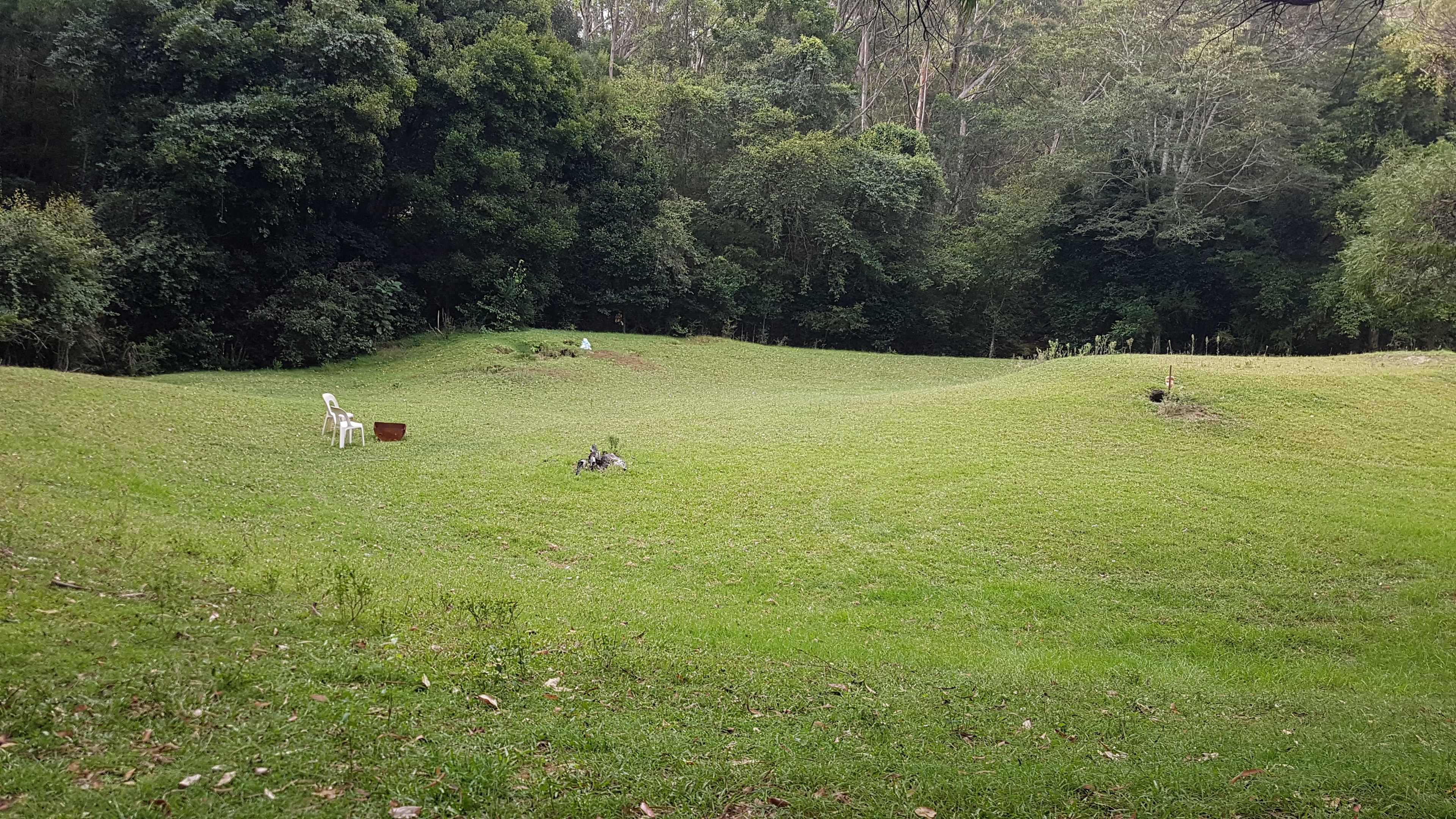 Little Forest Farmstay