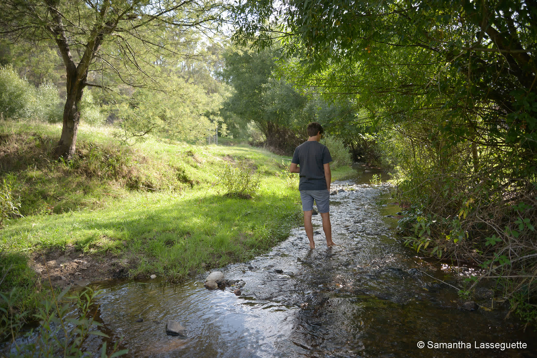 CallaghanCreek camp indistance