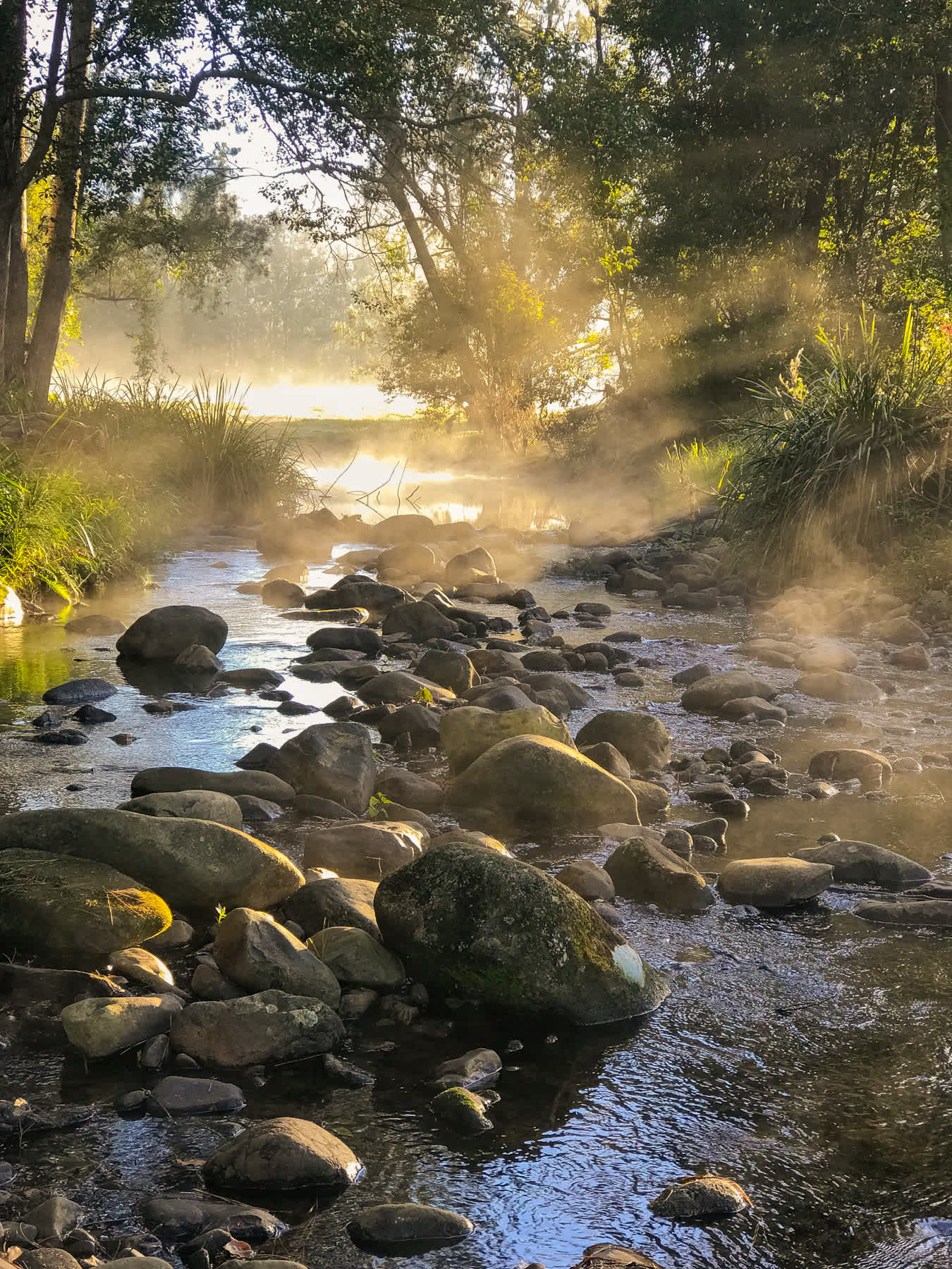 Crystal Creek on a misty morn