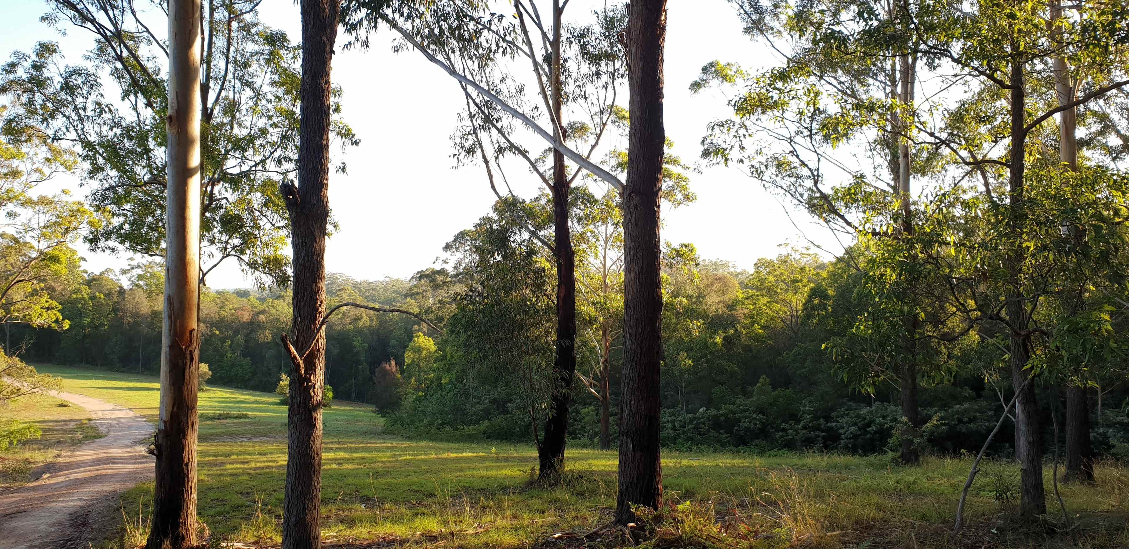 Down to the camping spots