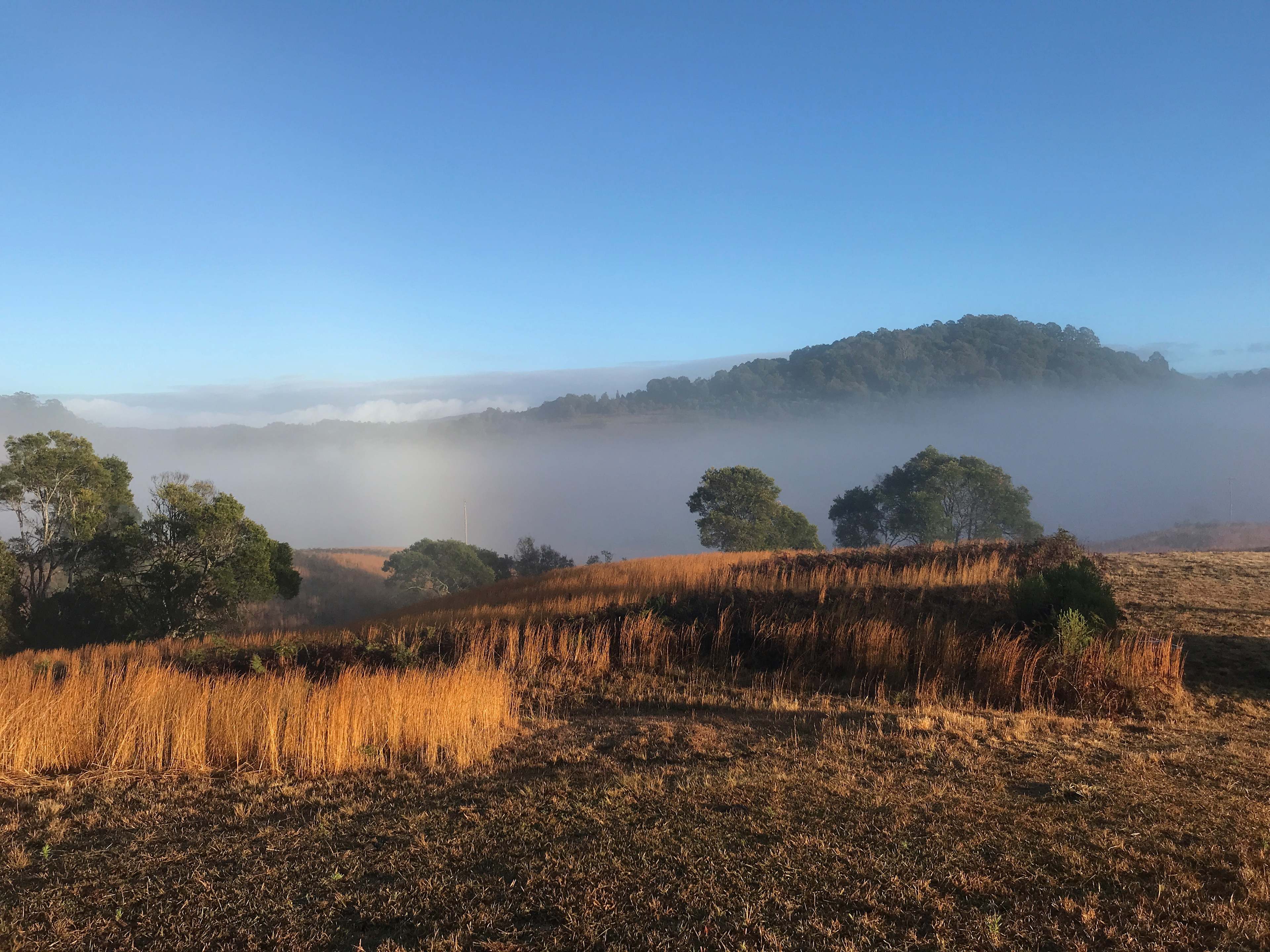 Beautiful lifting fog