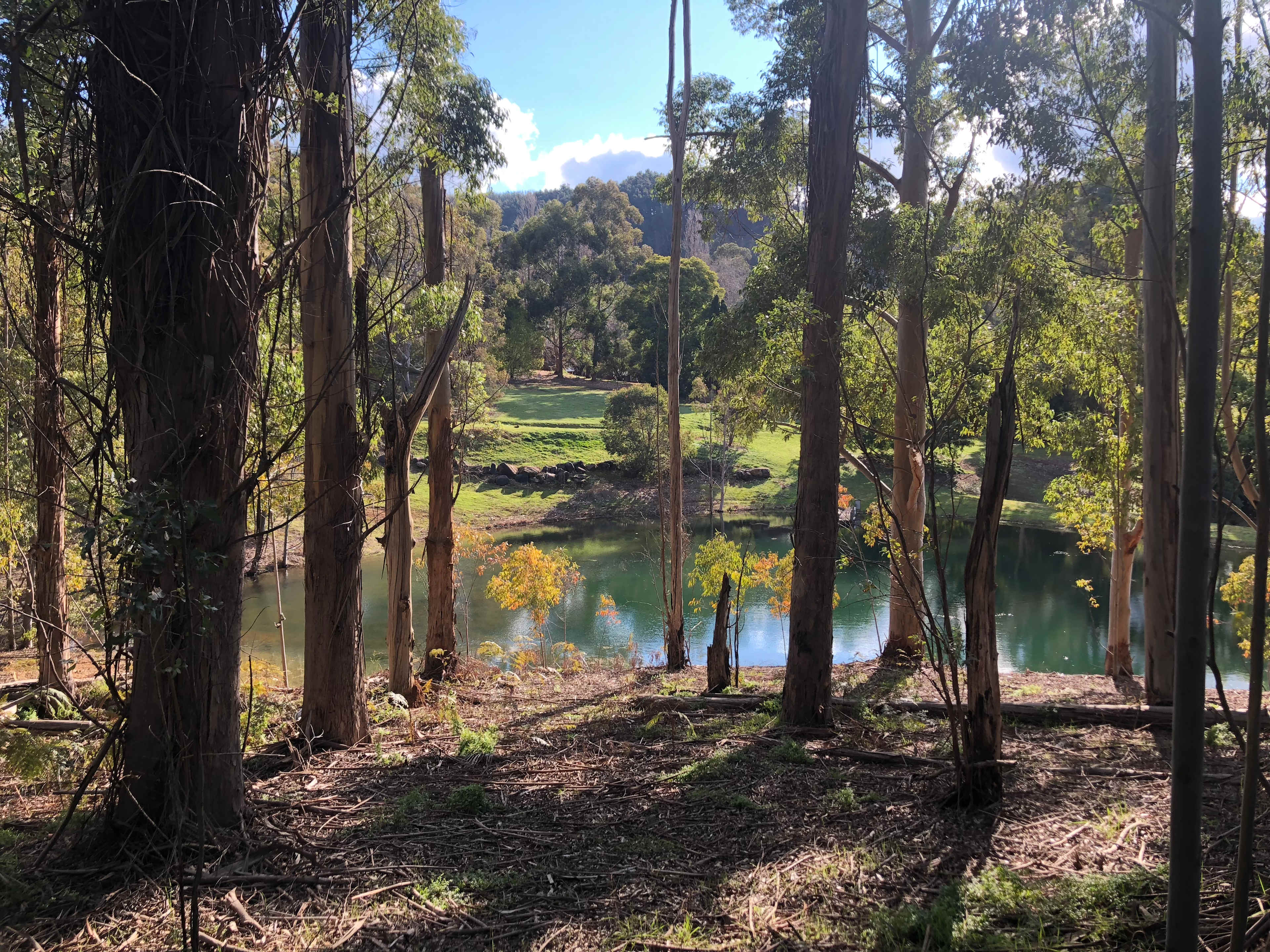 Running Brook Campsite