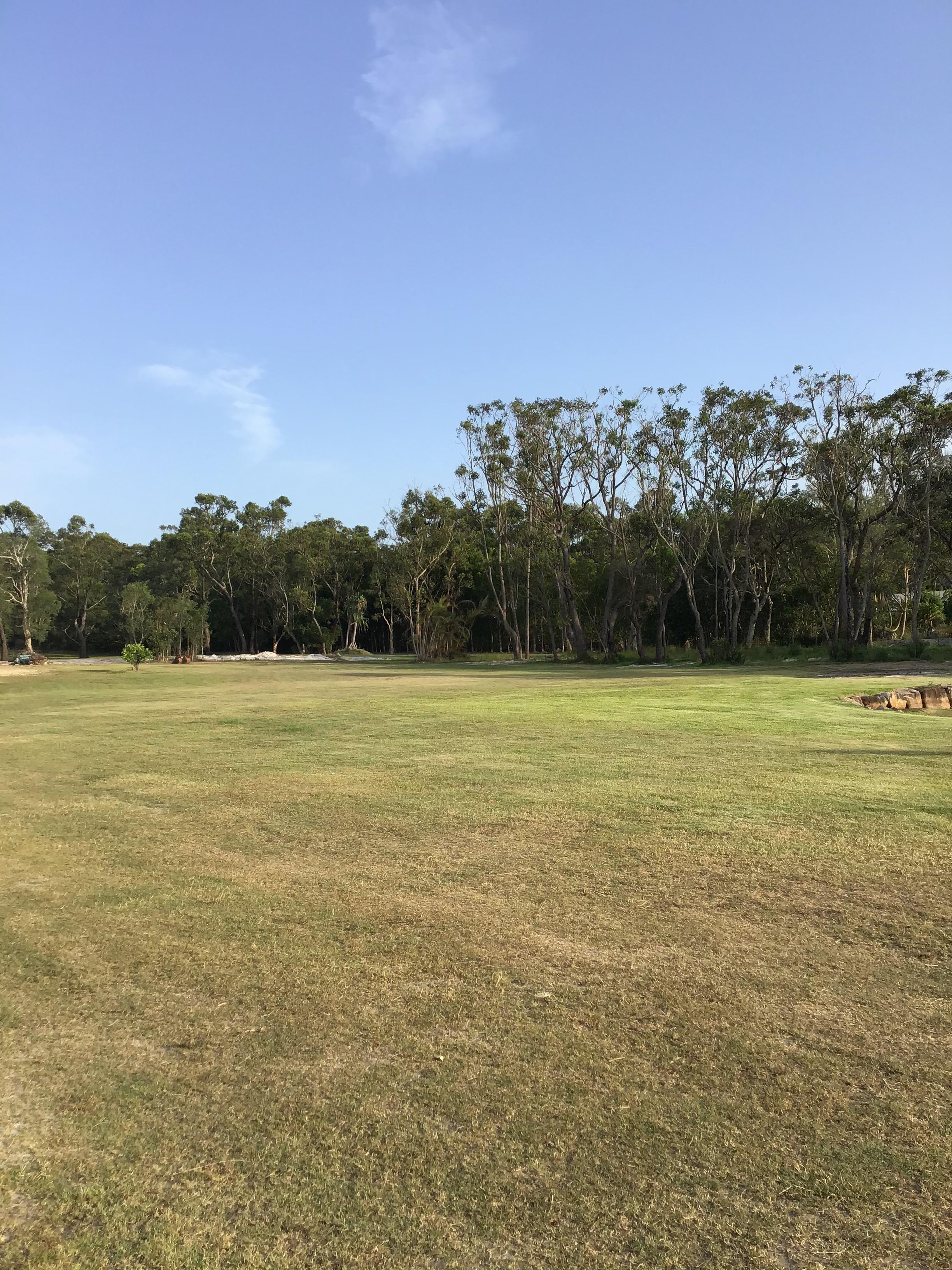 Heaps of grassy areas