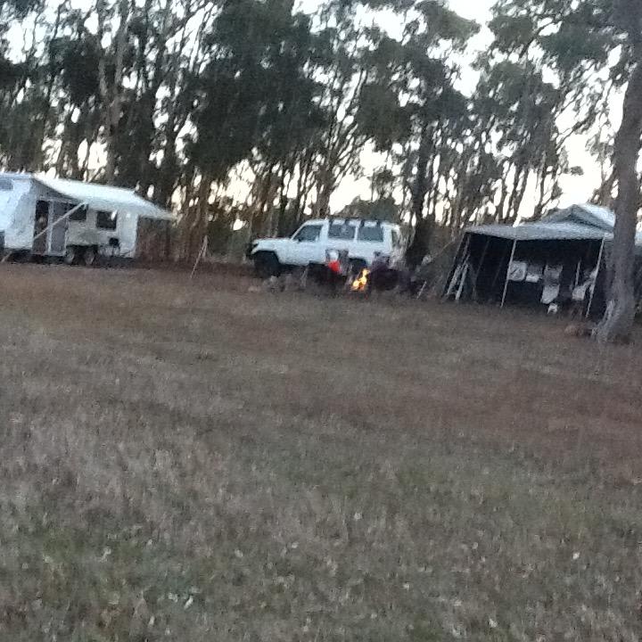 Pinegrove Camping