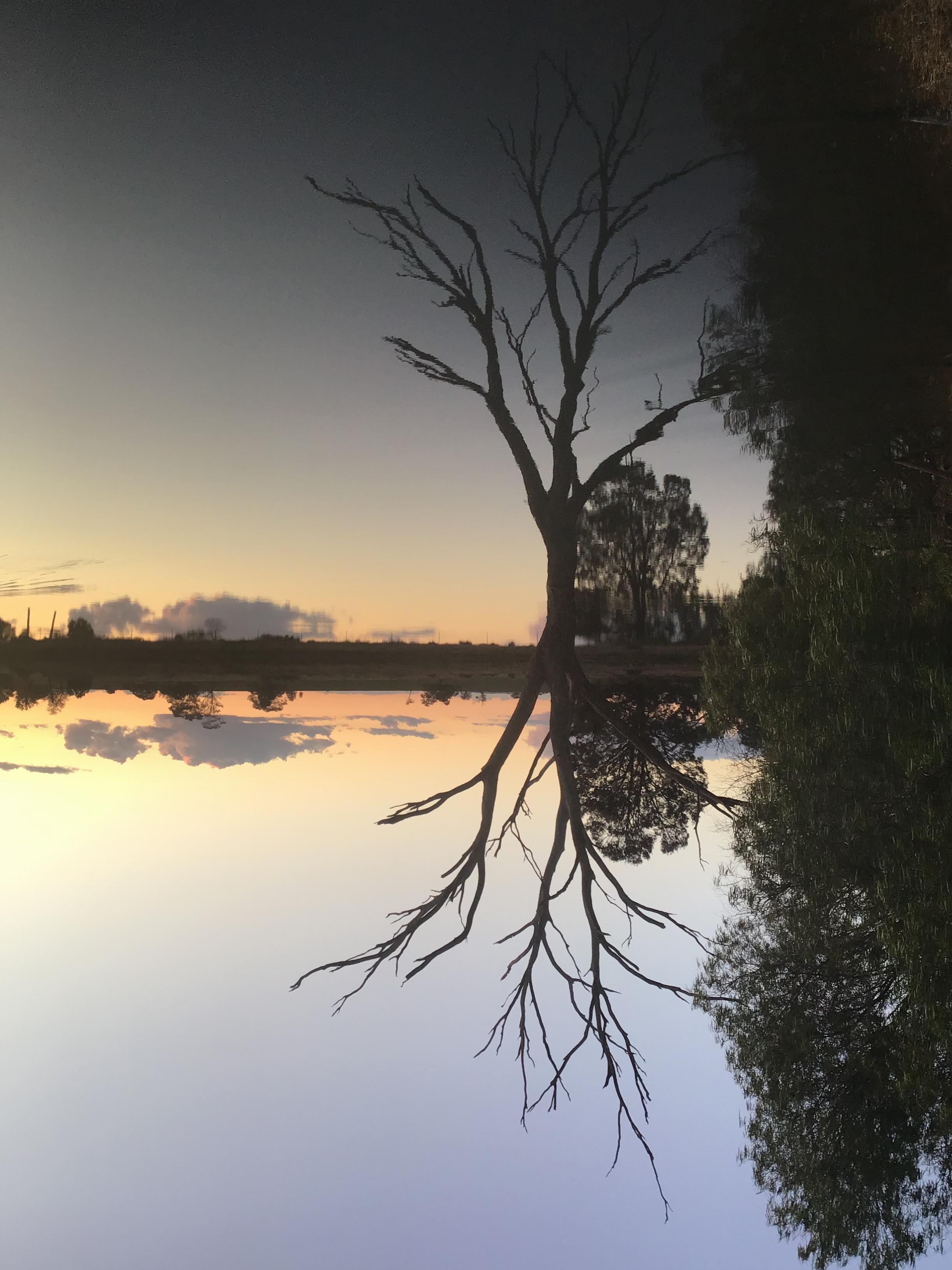 Reflecting on the day