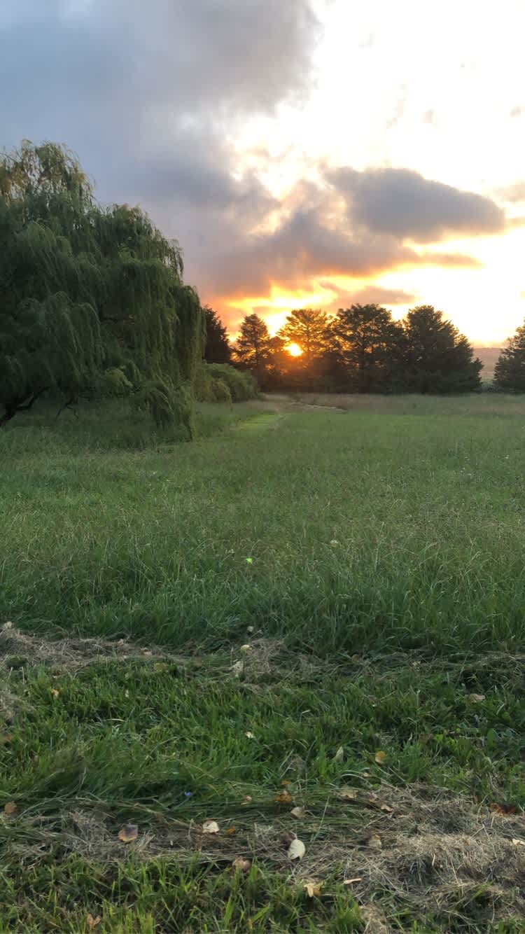 Willows dam at sunset