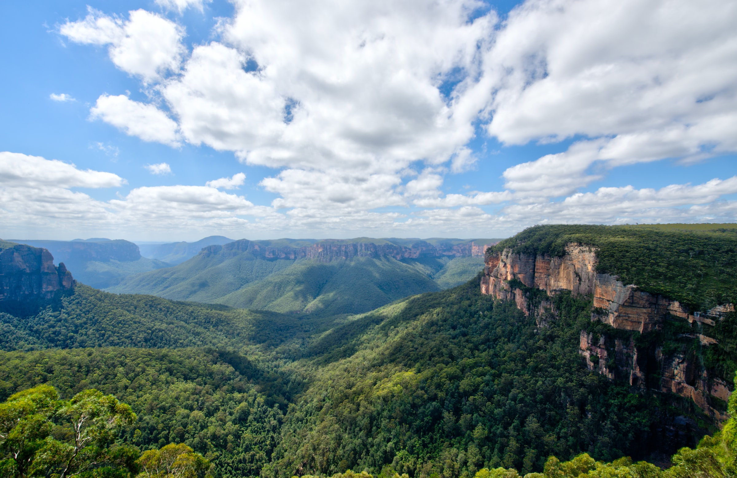 Blue Mountains