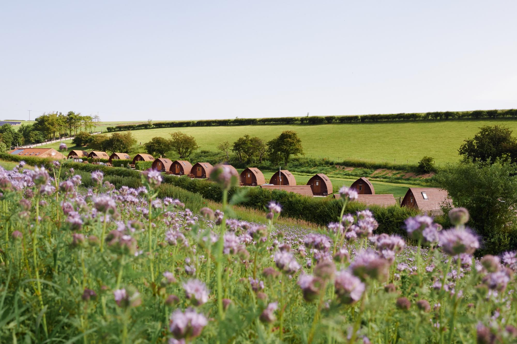 Humble Bee Farm