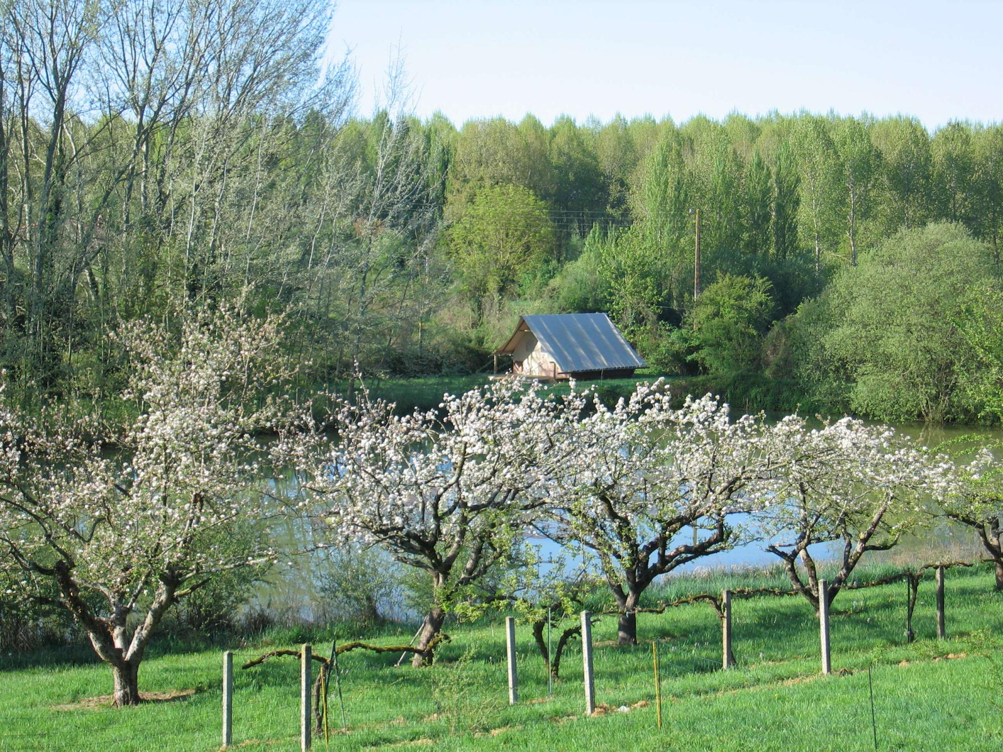 The Good Life in France